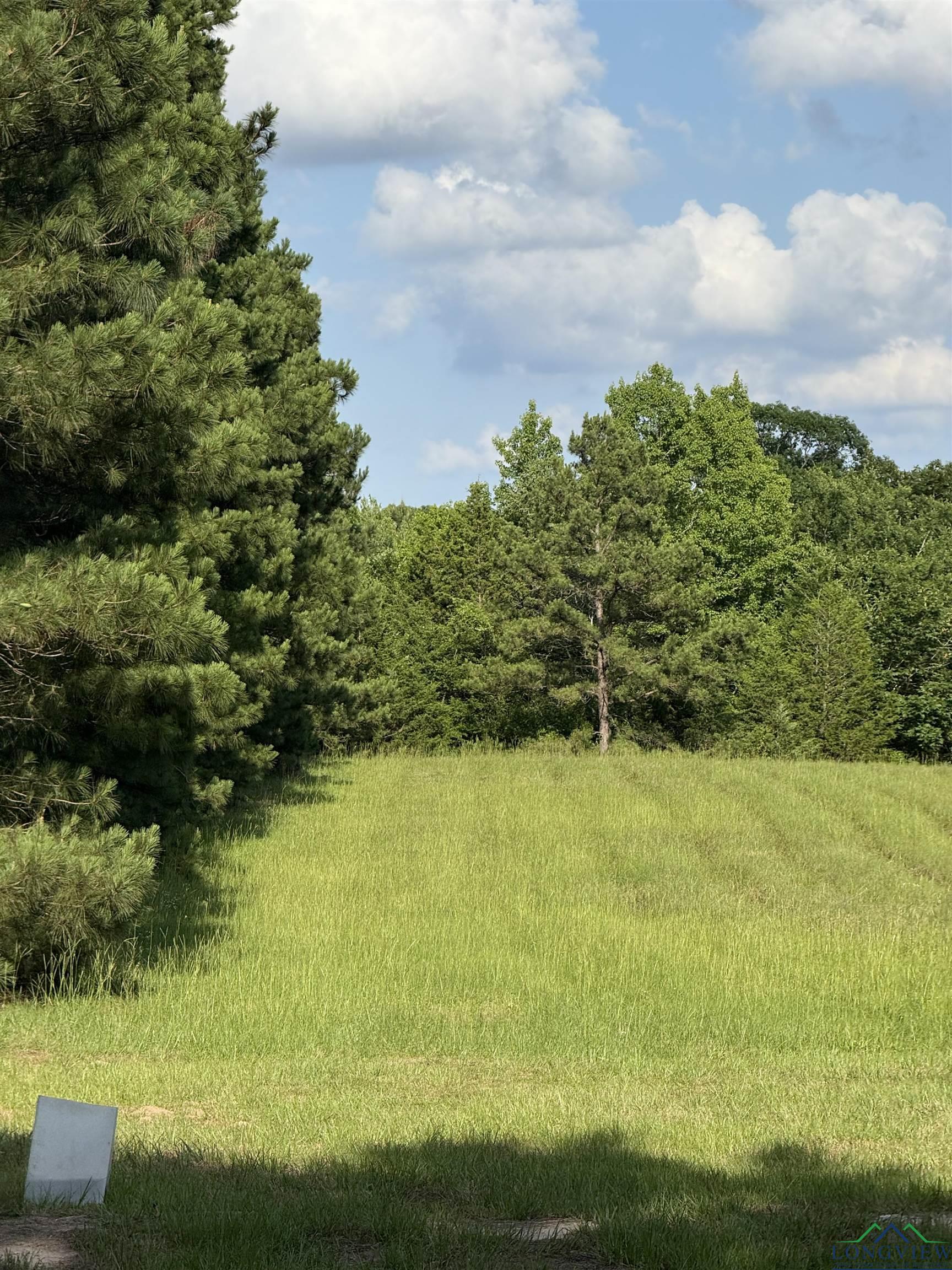TBD Fm 1969, Avinger, Texas image 13