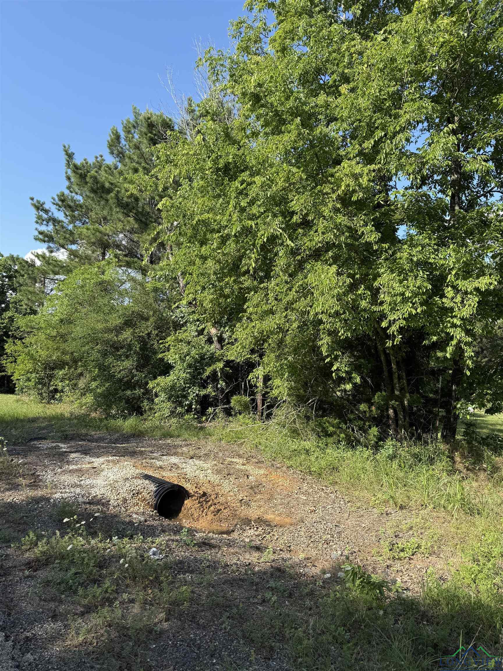 TBD Fm 1969, Avinger, Texas image 3