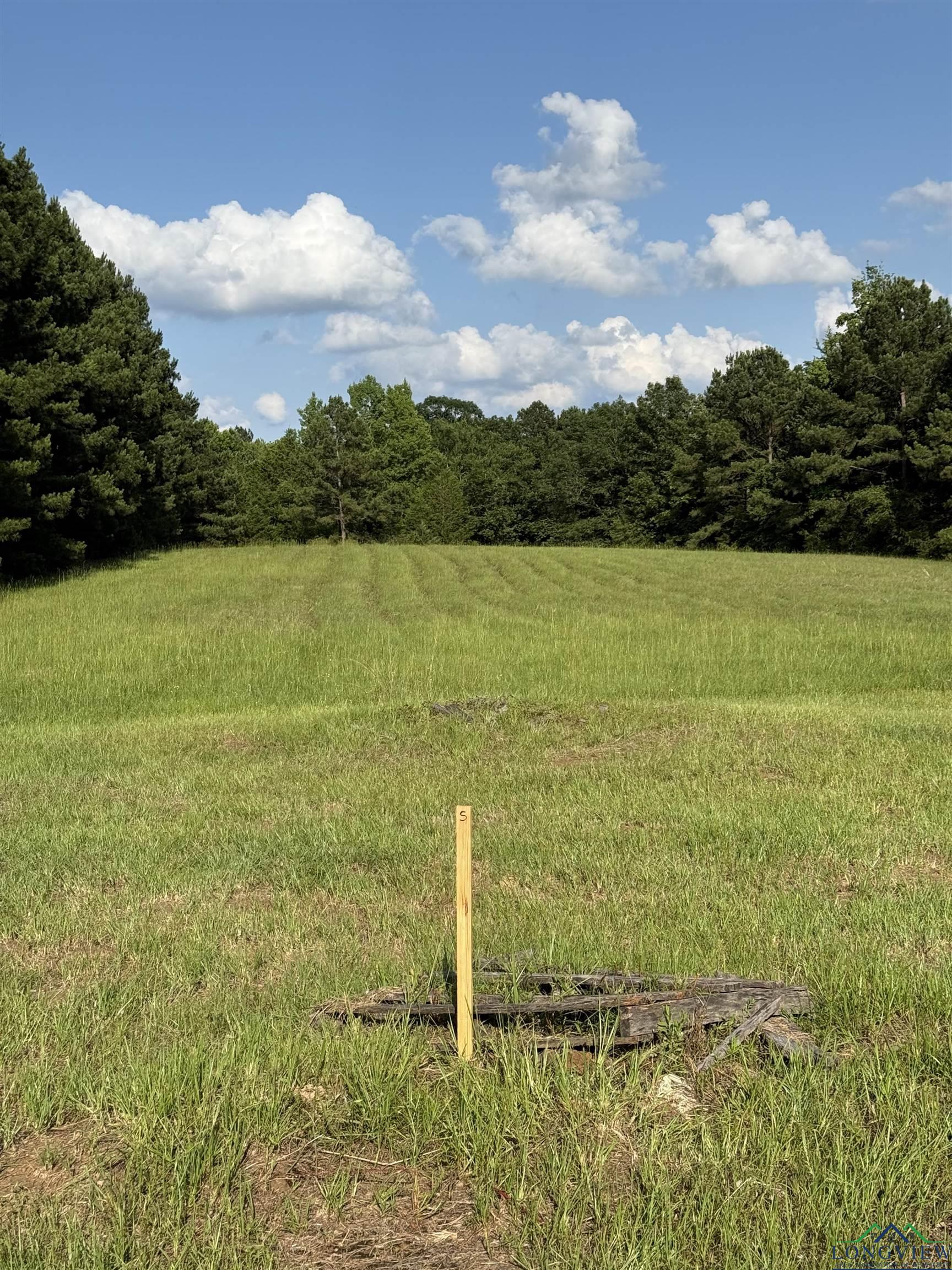 TBD Fm 1969, Avinger, Texas image 15