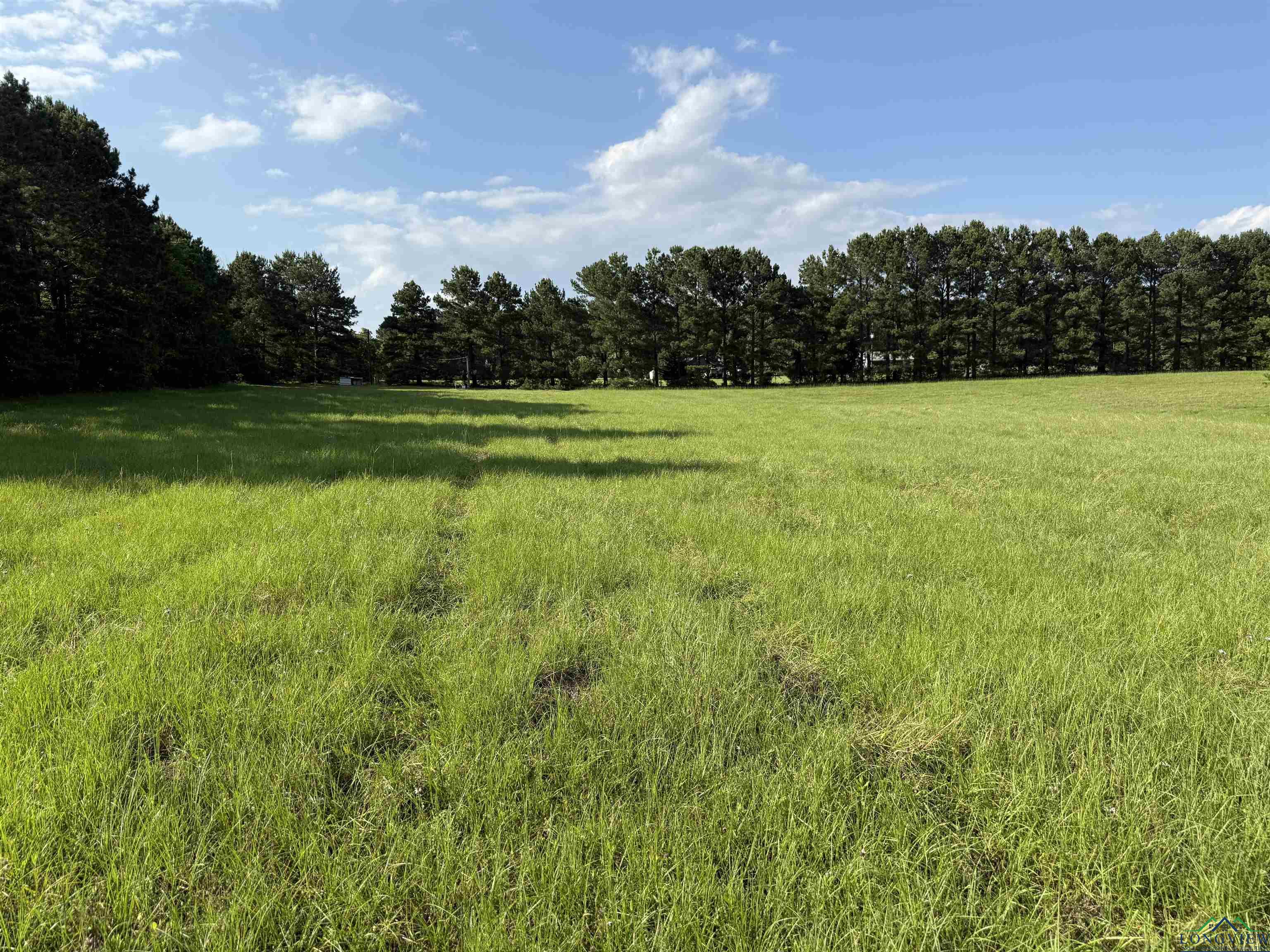 TBD Fm 1969, Avinger, Texas image 10