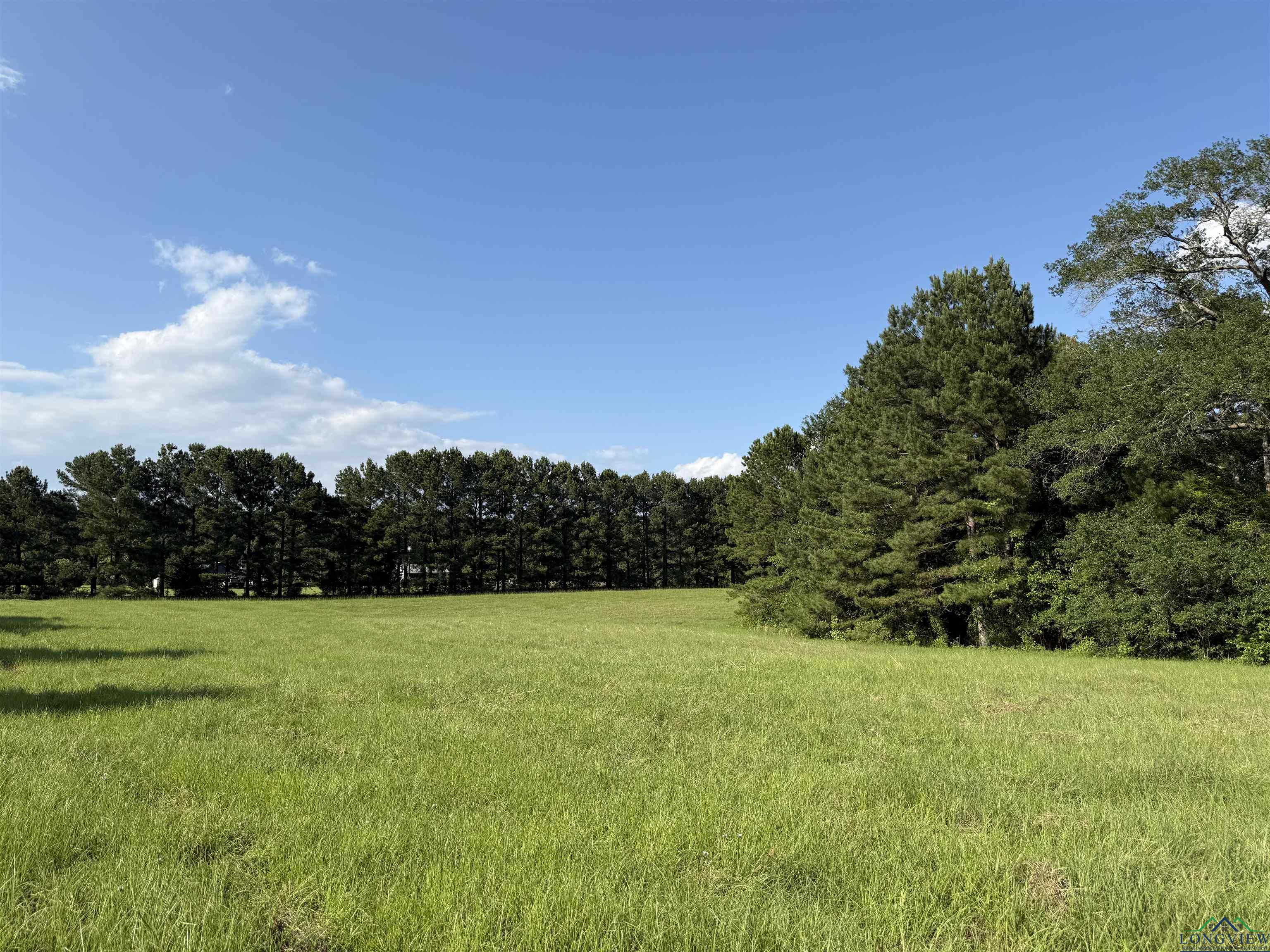 TBD Fm 1969, Avinger, Texas image 9