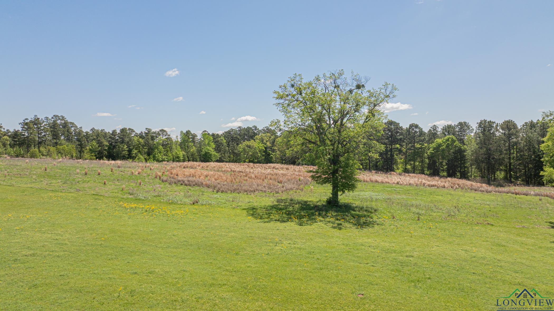 8148 County Road 3111 N, Kilgore, Texas image 45
