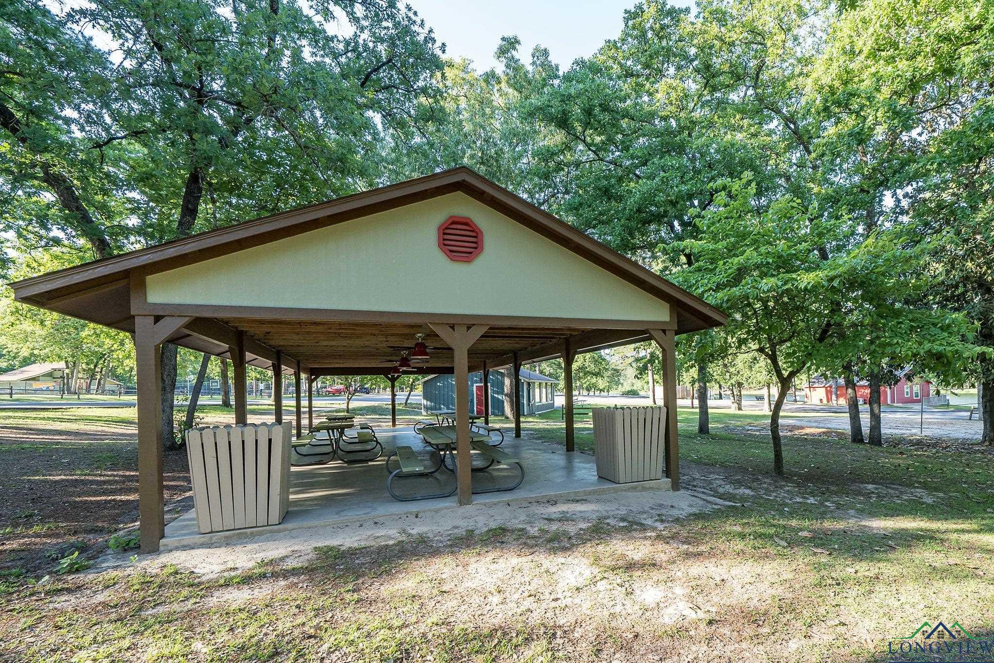 515 Holly Trail East Trl, Holly Lake Ranch, Texas image 39