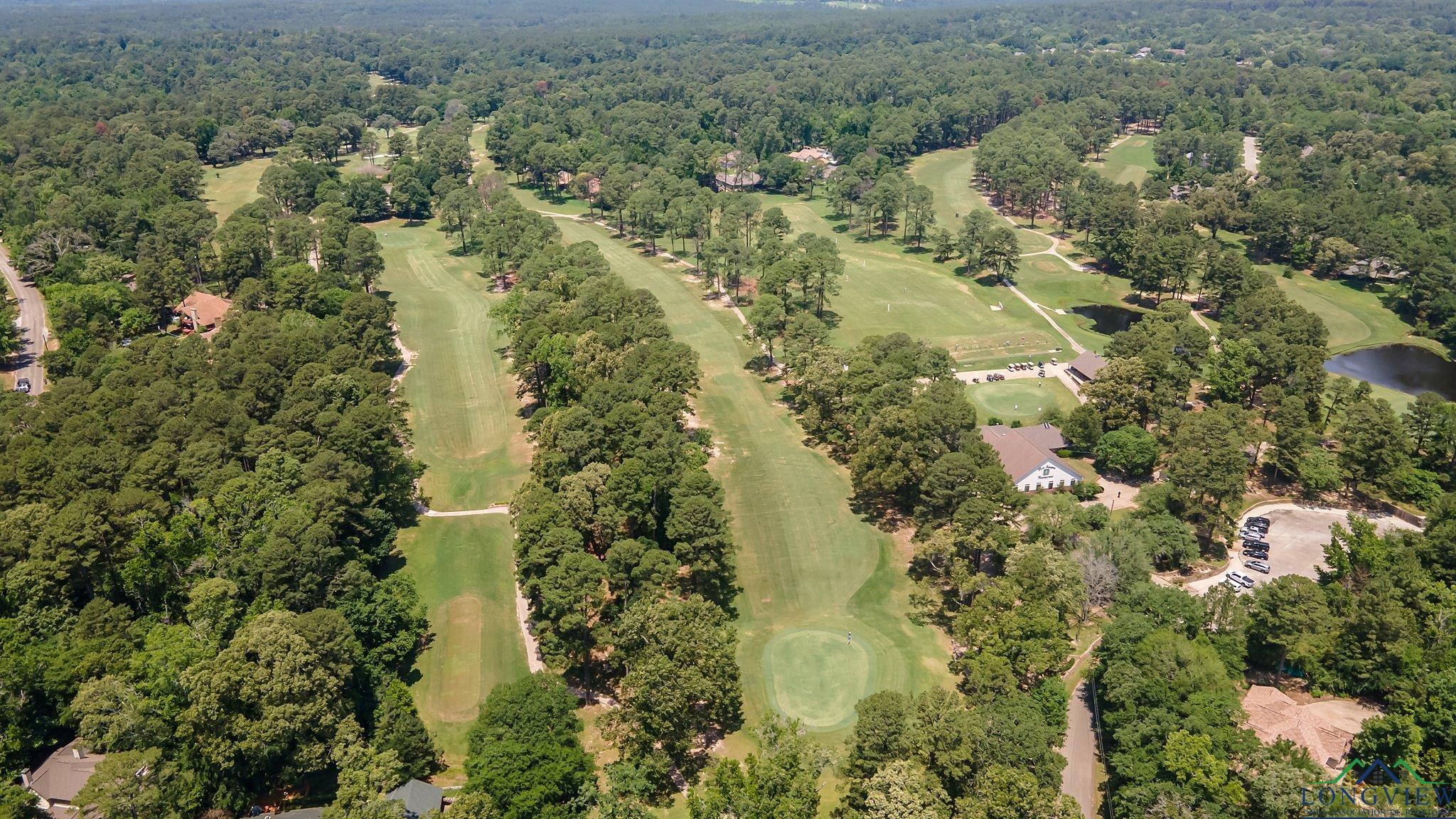 515 Holly Trail East Trl, Holly Lake Ranch, Texas image 30