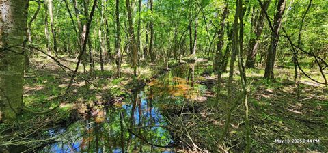 Vacant Land For Sale - Cr 3230 And 3233<br/> Red River County, Clarksville, TX 75426