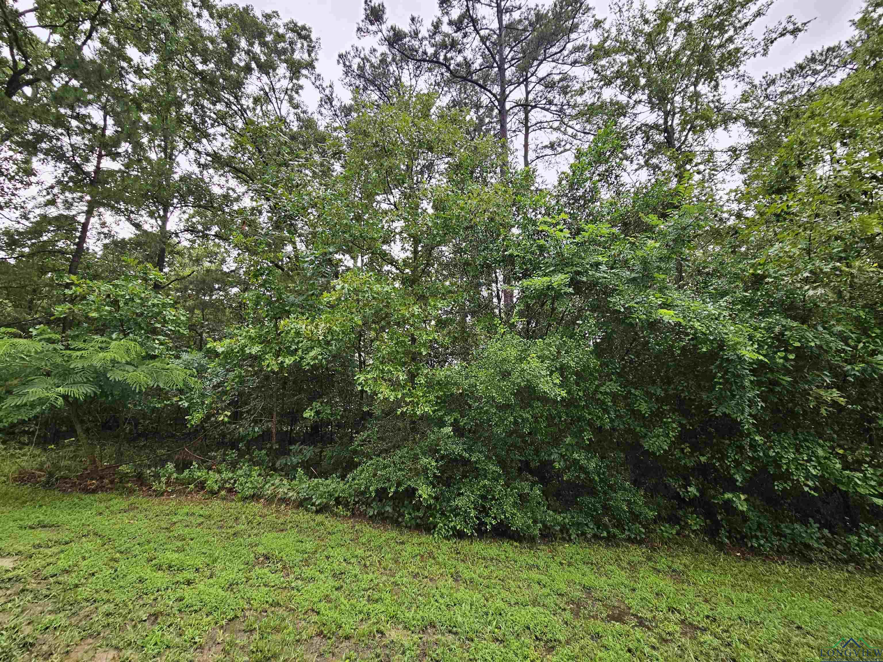TBD Lot 266 Ponce De Leon Drive, Jefferson, Texas image 4