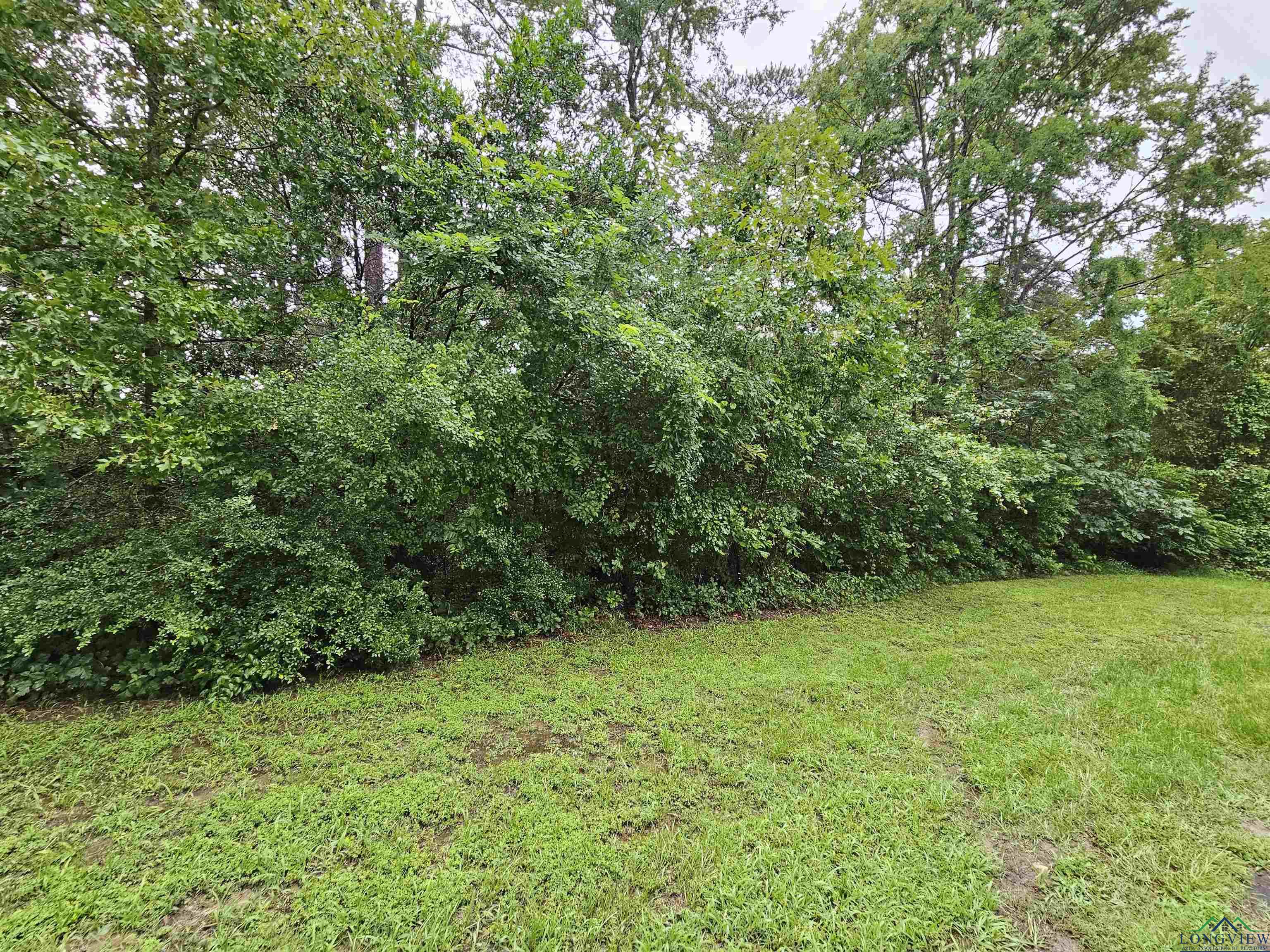 TBD Lot 266 Ponce De Leon Drive, Jefferson, Texas image 2
