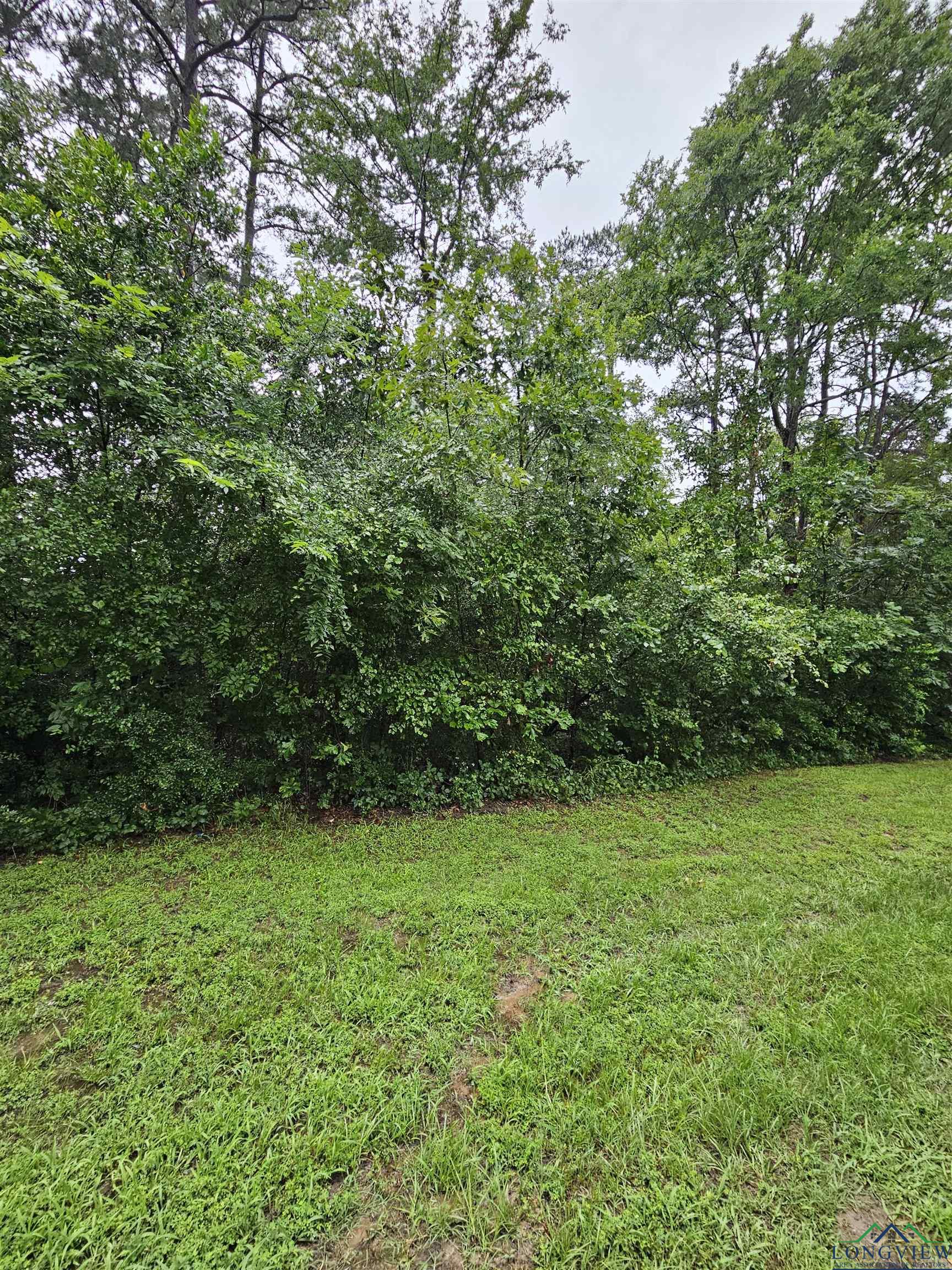 TBD Lot 266 Ponce De Leon Drive, Jefferson, Texas image 5