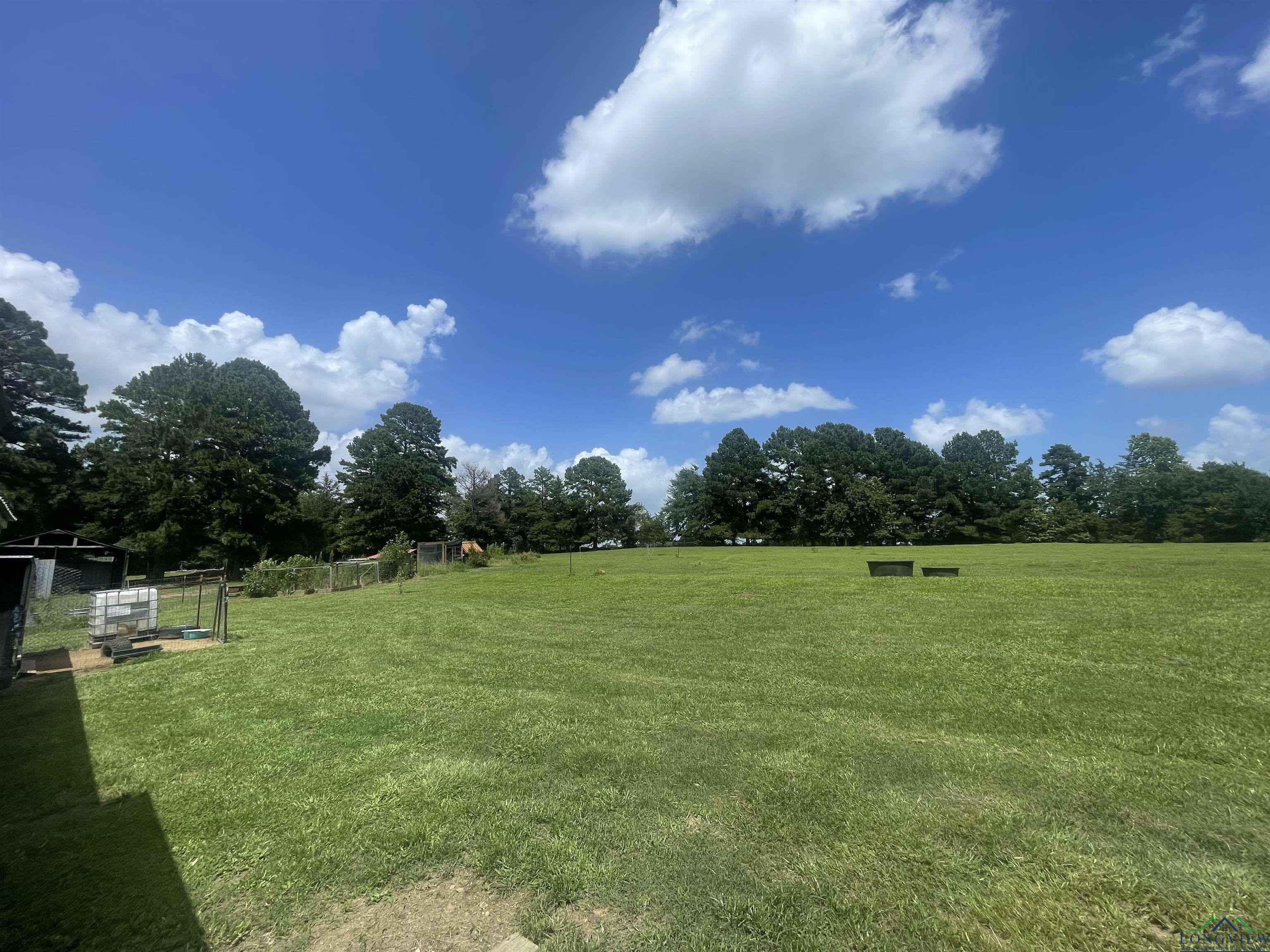 10757 E Cr 366, Henderson, Texas image 12