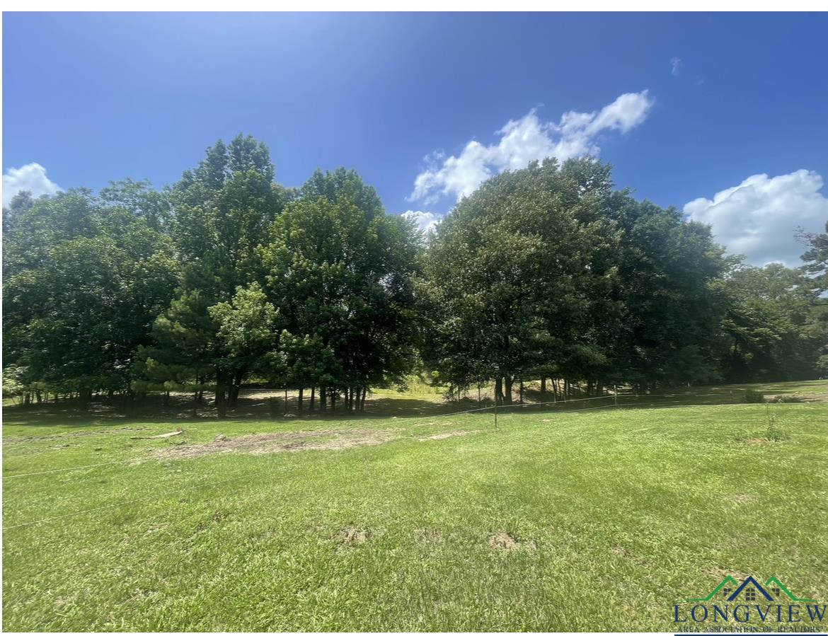 10757 E Cr 366, Henderson, Texas image 18