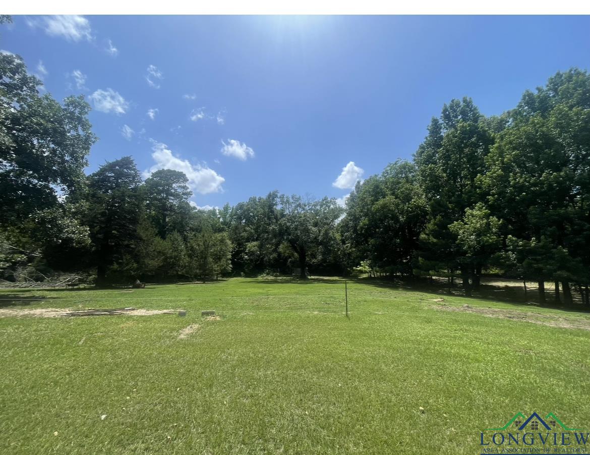 10757 E Cr 366, Henderson, Texas image 17