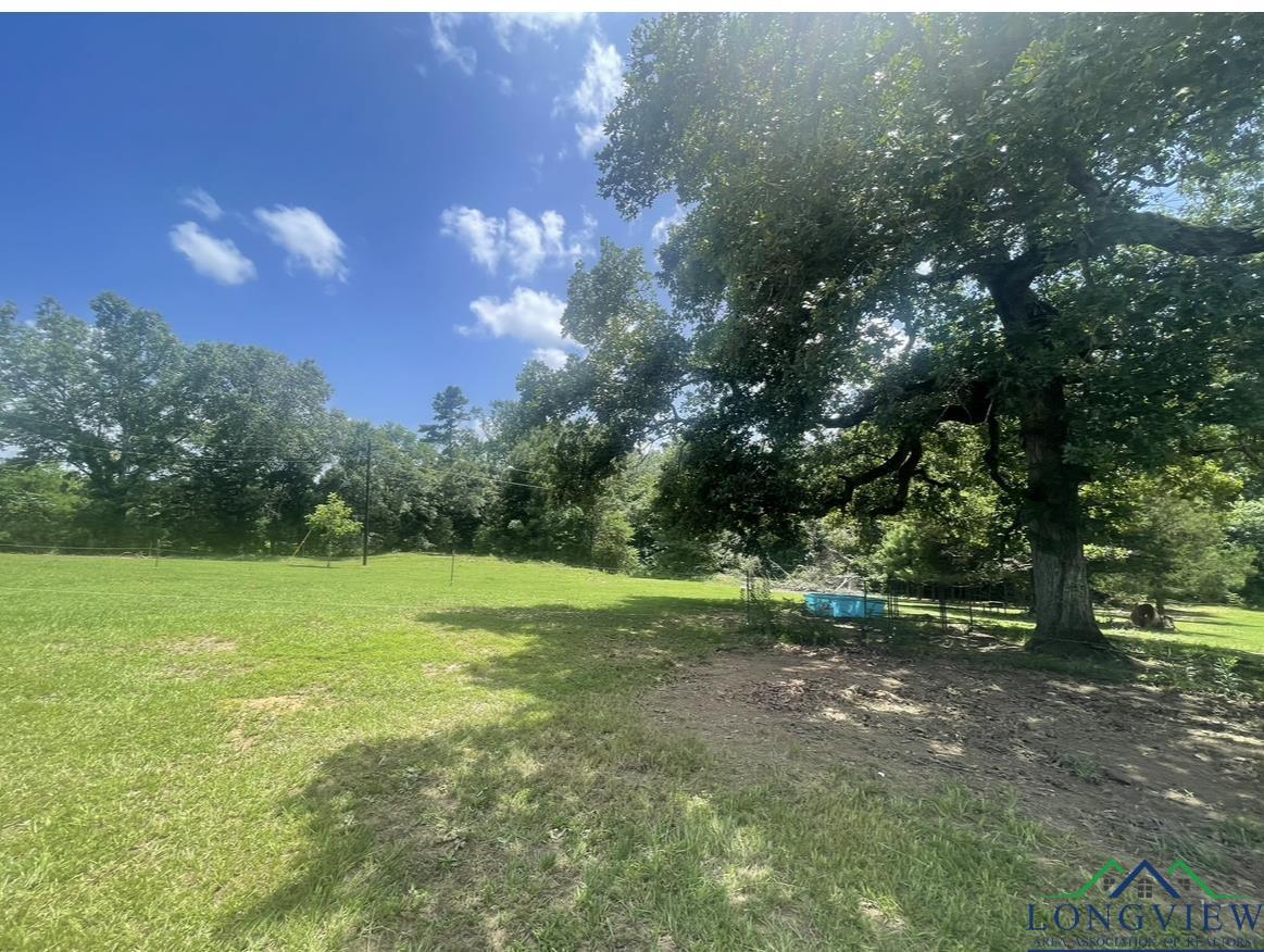 10757 E Cr 366, Henderson, Texas image 16