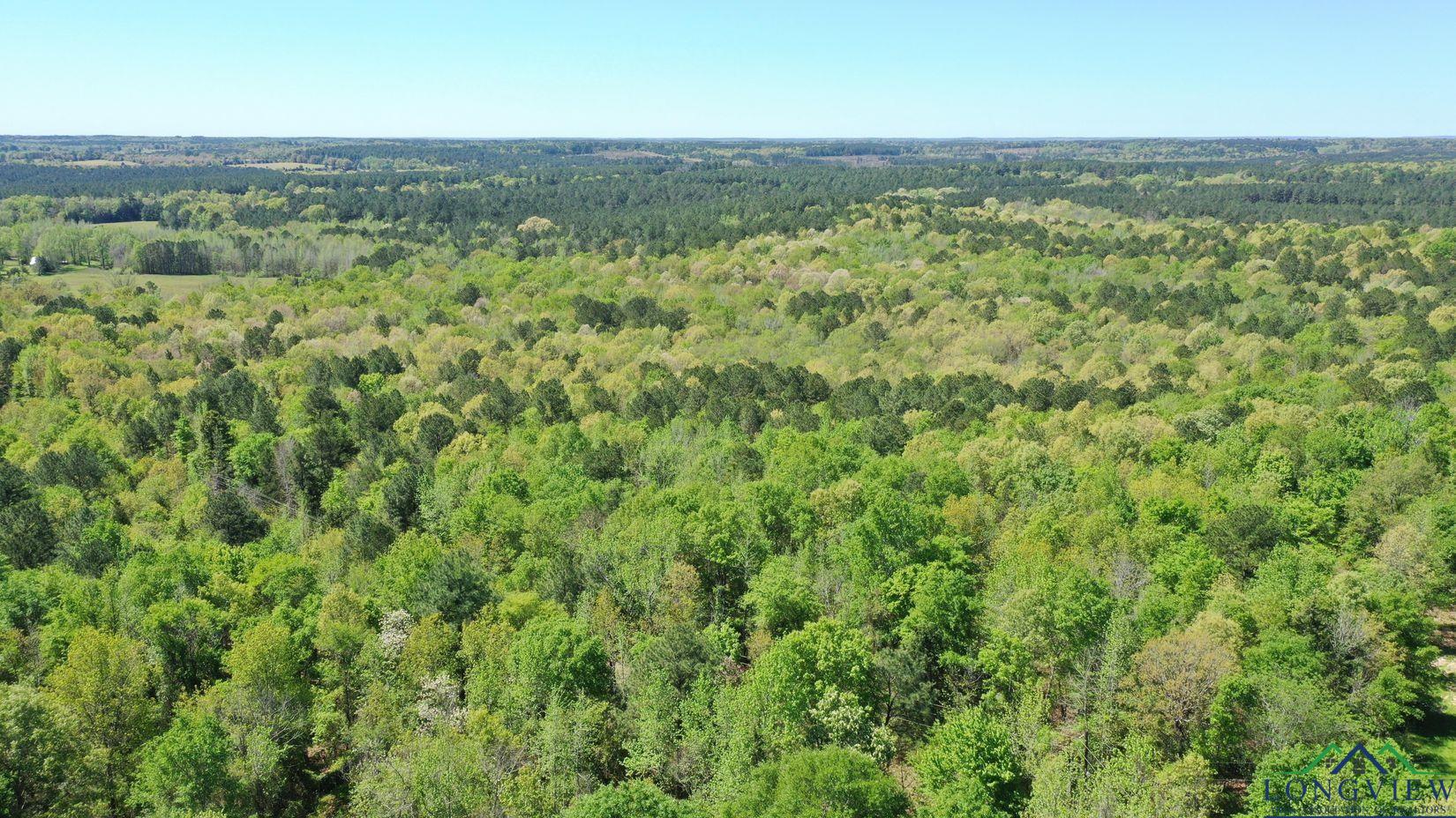 TBD Cr 1237, Linden, Texas image 4