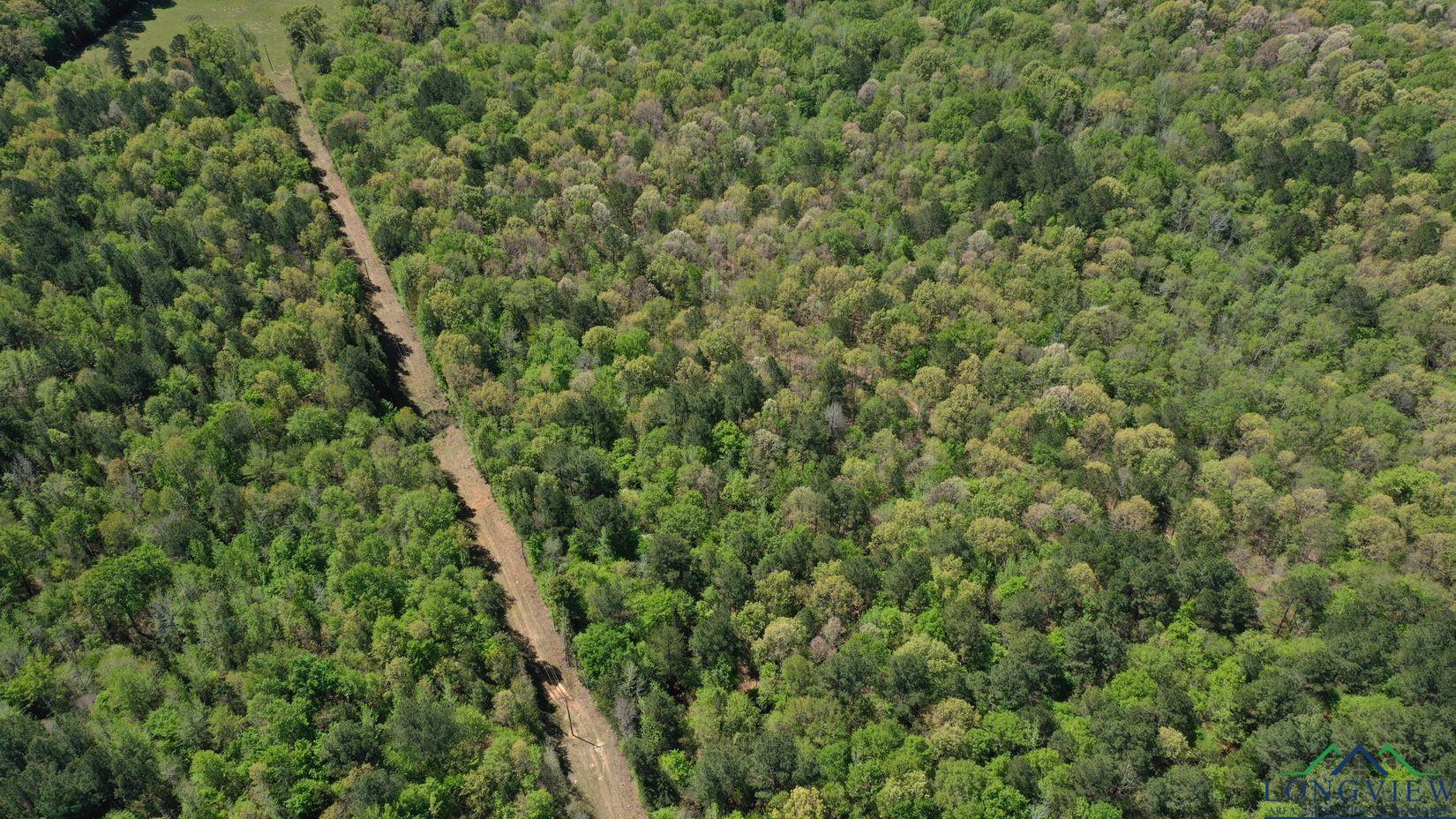 TBD Cr 1237, Linden, Texas image 6