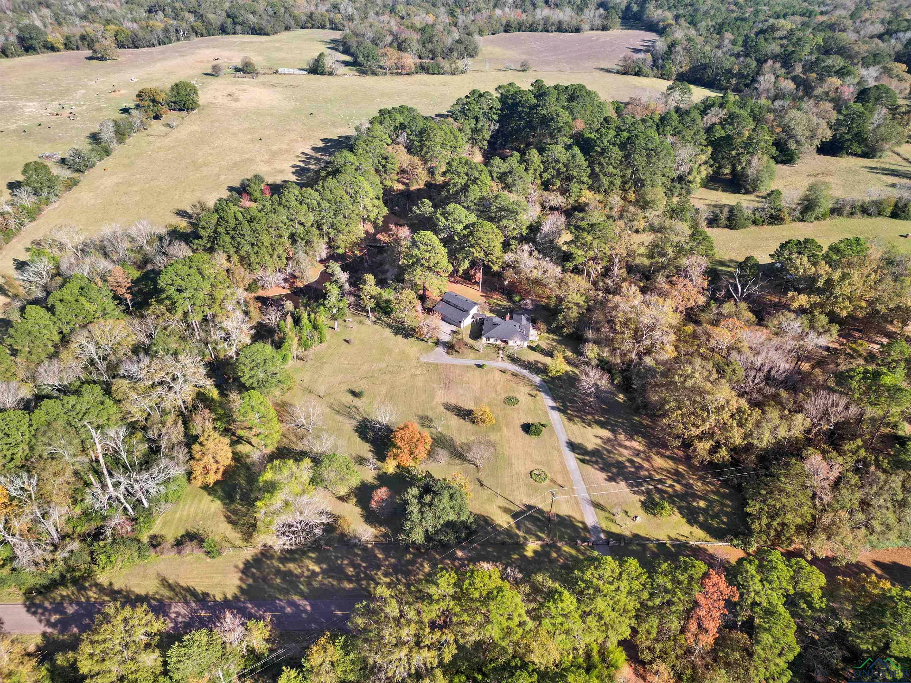 8217 Fm 1857 S, Rusk, Texas image 9