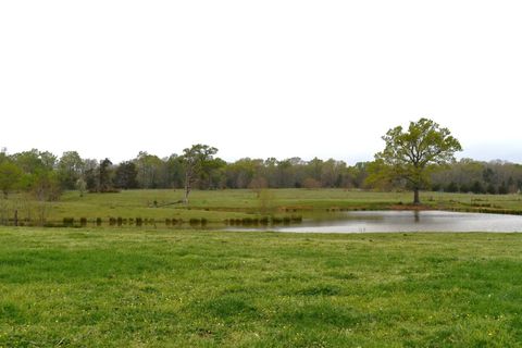 Vacant Land For Sale - TBD County Rd 121<br/> Carthage, TX 75692
