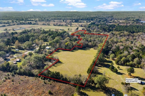 Vacant Land For Sale - 234 County Road 2238<br/> Daingerfield, TX 75638