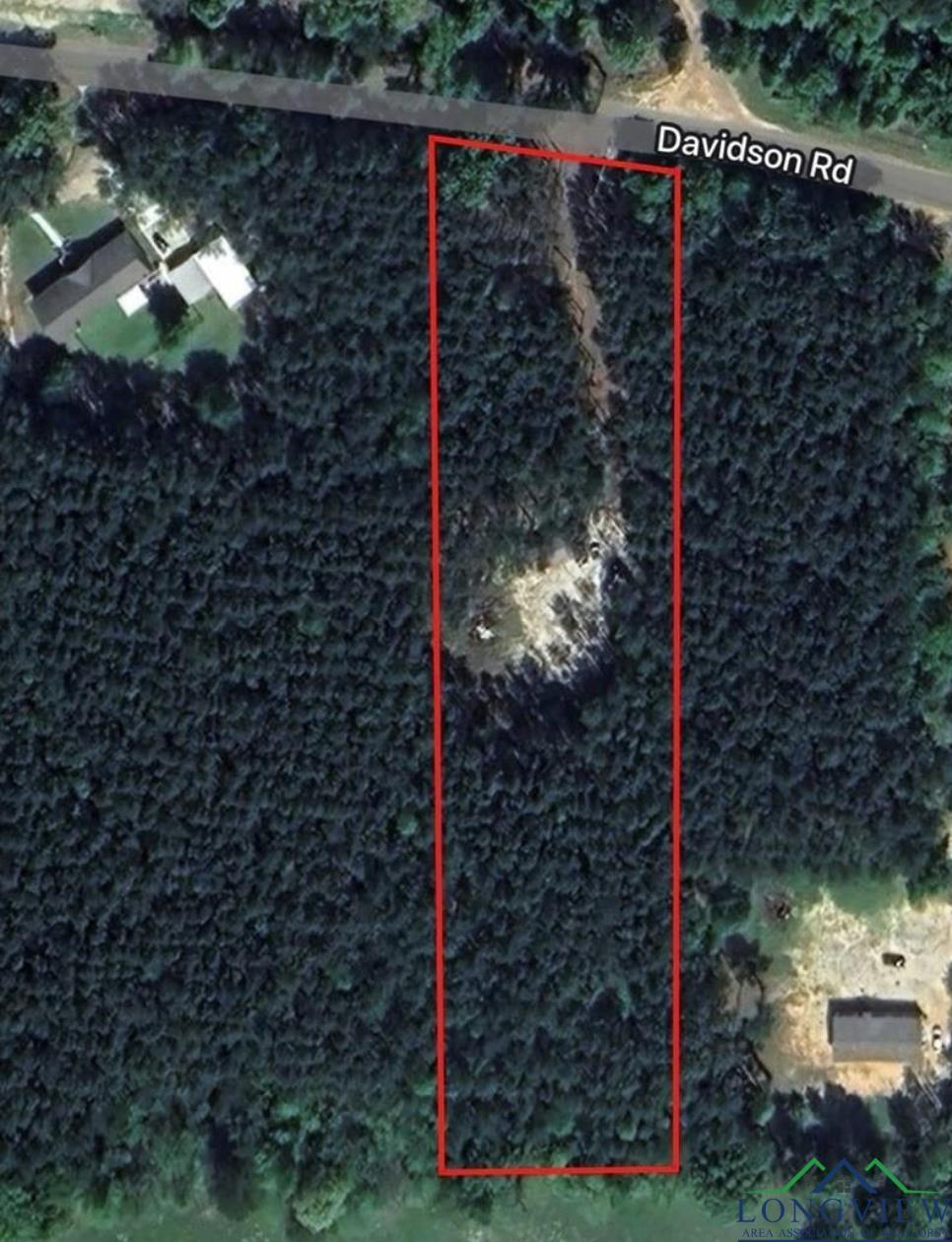 1417 Davidson Rd, Diana, Texas image 2
