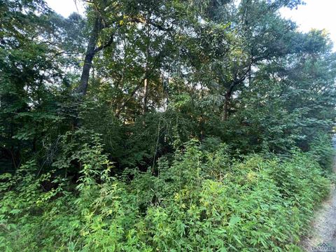 Vacant Land For Sale - TBD Cottonwood Trail<br/> Upshur County, Gilmer, TX 75645