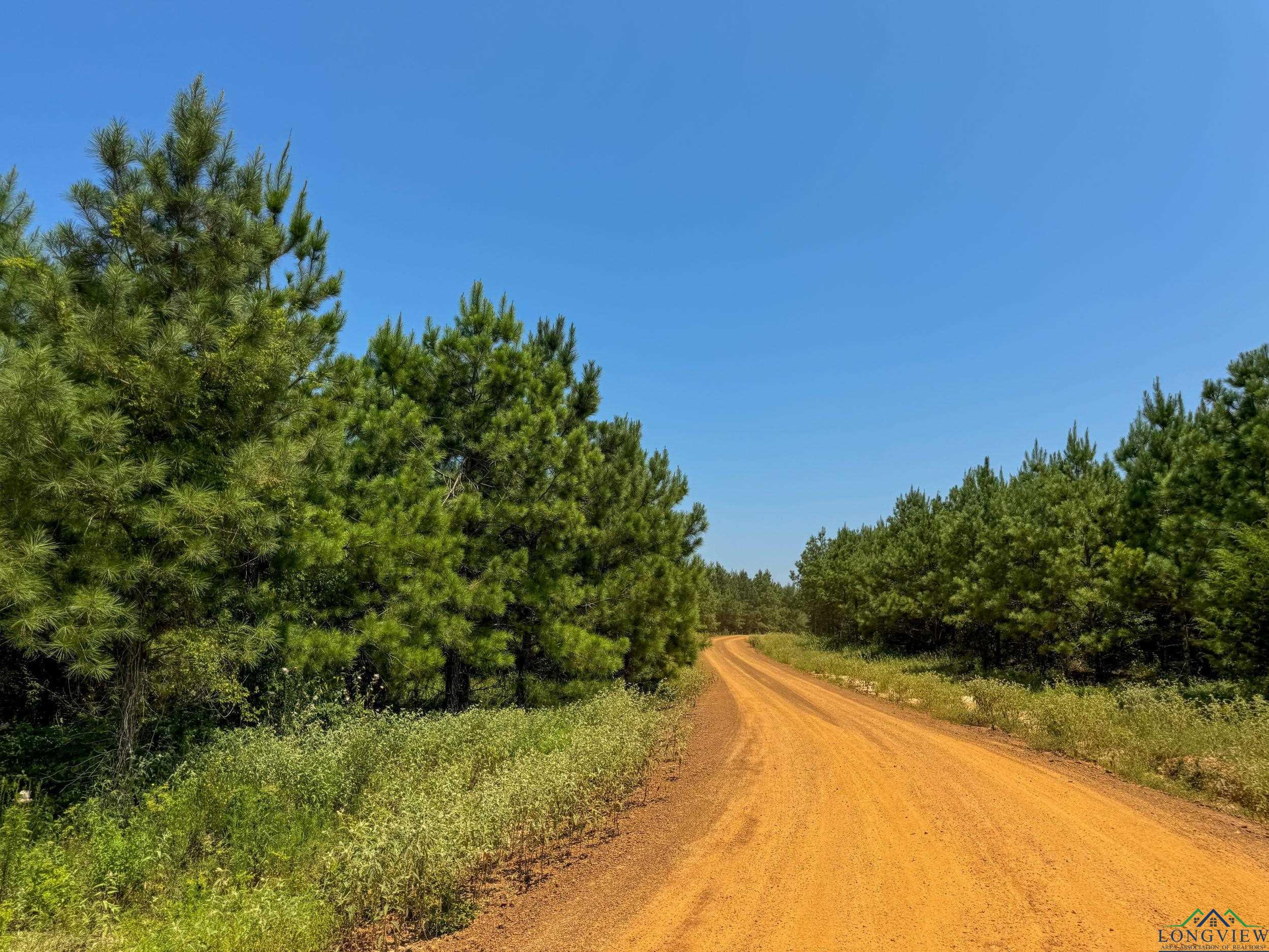 TBD Cr 1619, Linden, Texas image 38