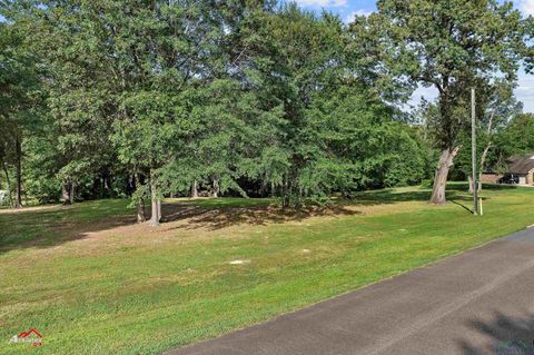 Vacant Land For Sale - TBD Pond Lake Rd. (pr 1239)<br/> Elysian Fields, TX 75642