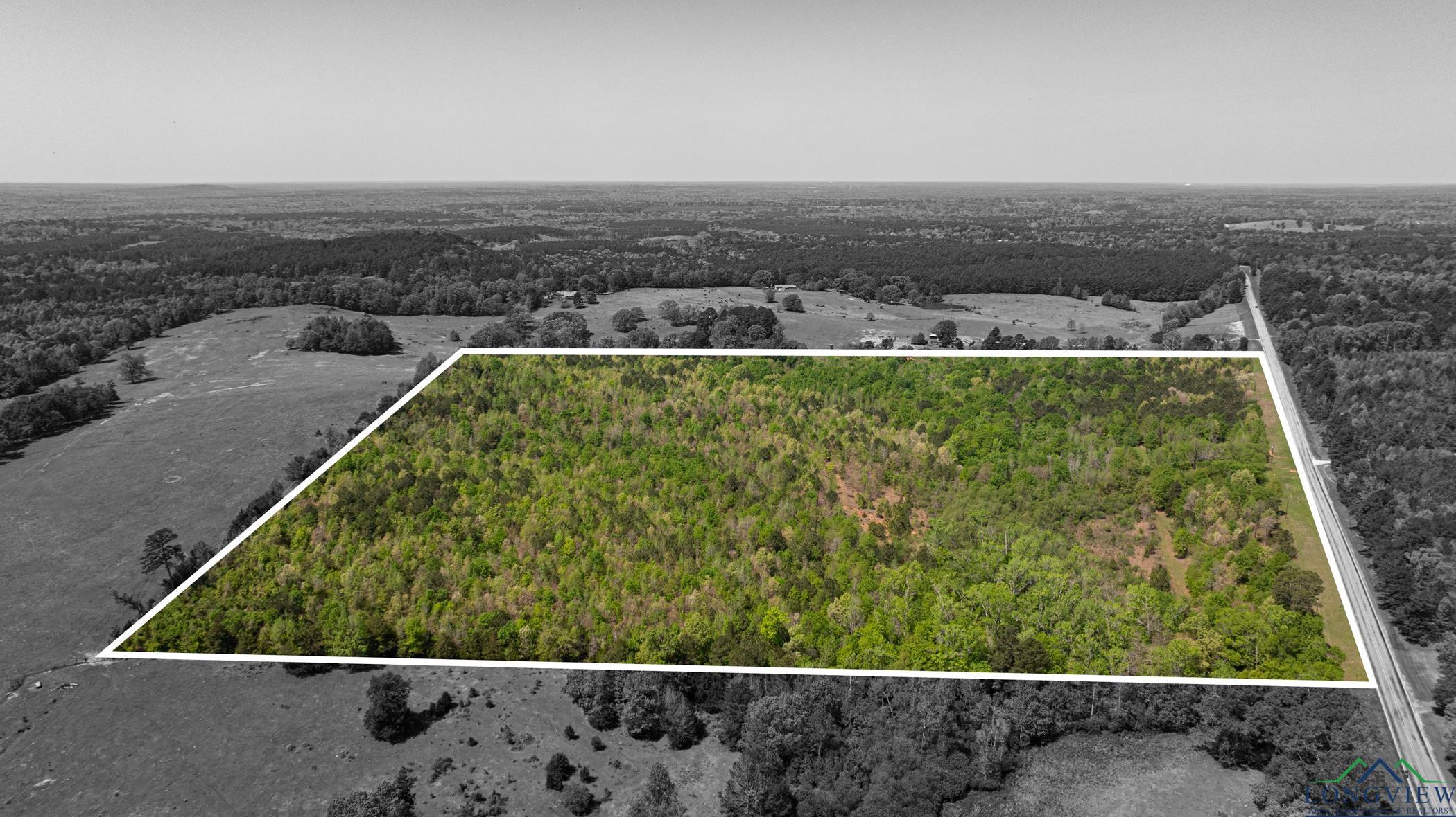 7200 S Fm 144, Daingerfield, Texas image 16