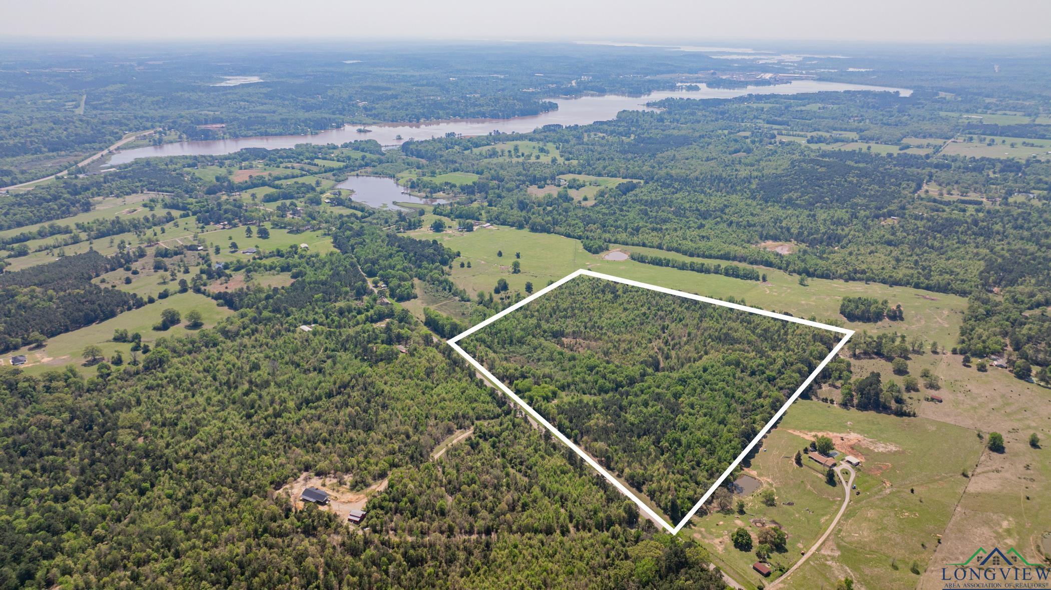 7200 S Fm 144, Daingerfield, Texas image 4