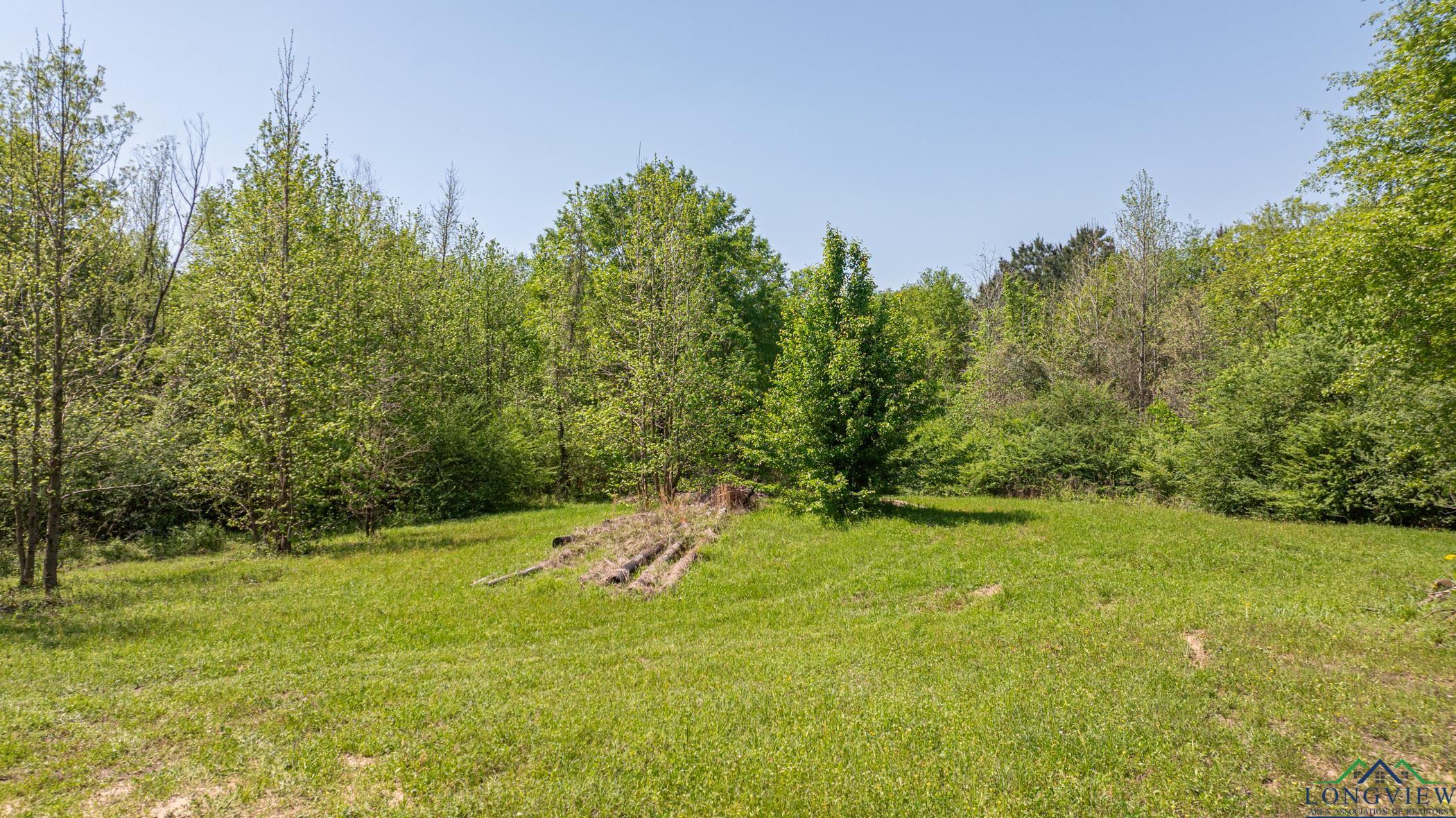 7200 S Fm 144, Daingerfield, Texas image 25