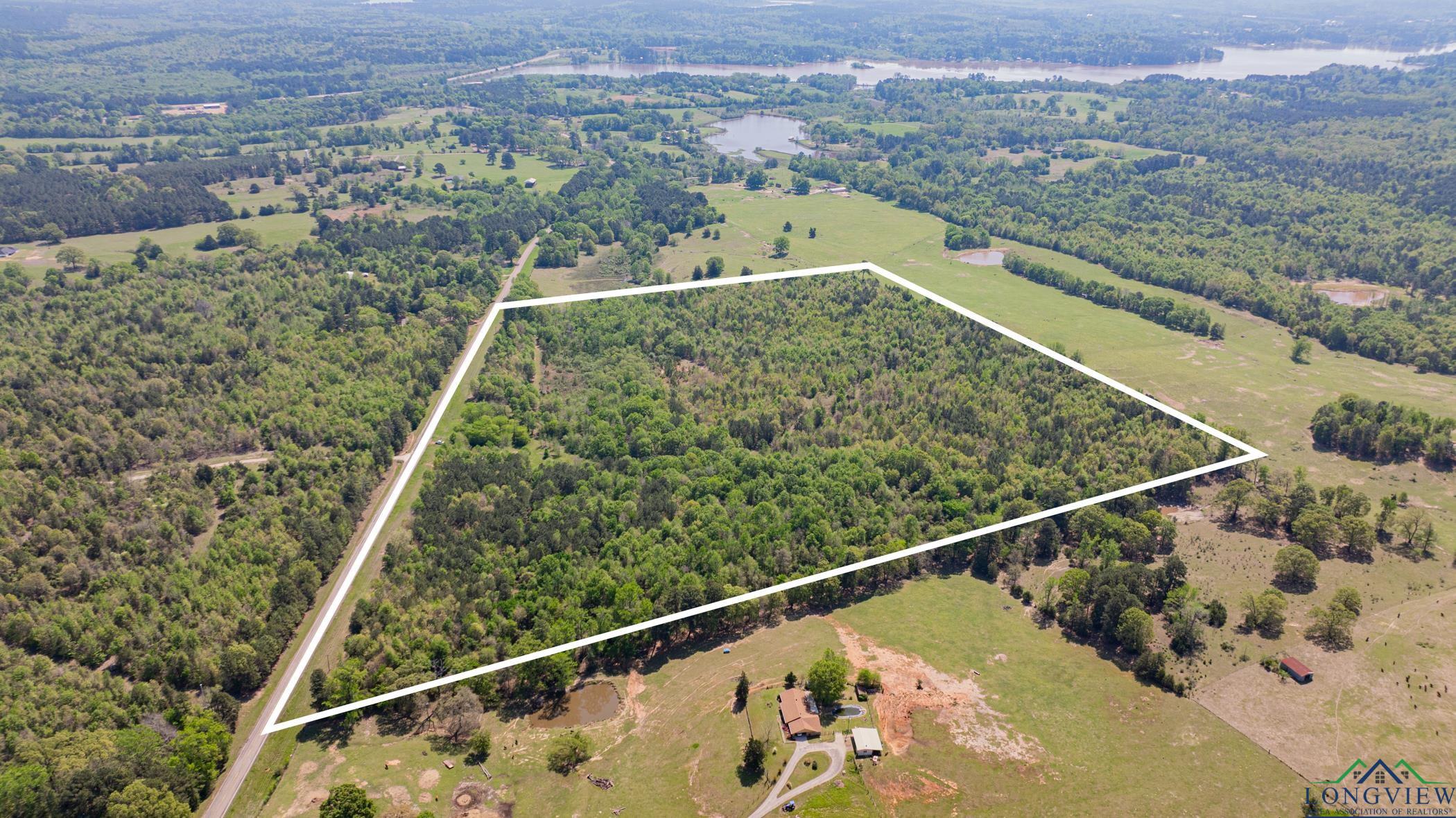 7200 S Fm 144, Daingerfield, Texas image 6