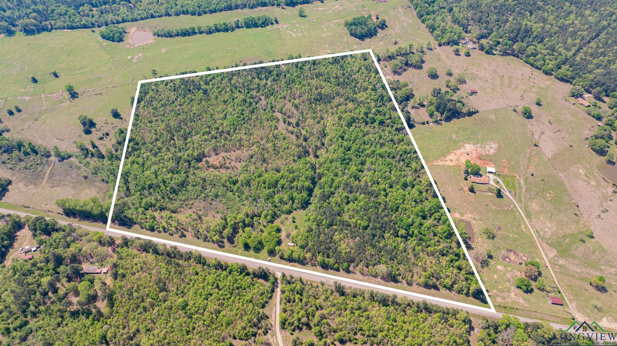 7200 S Fm 144, Daingerfield, Texas image 3