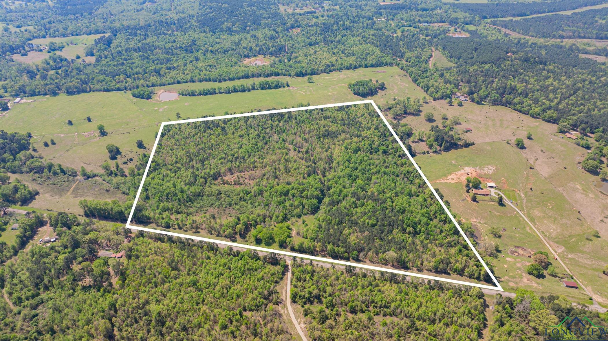 7200 S Fm 144, Daingerfield, Texas image 1