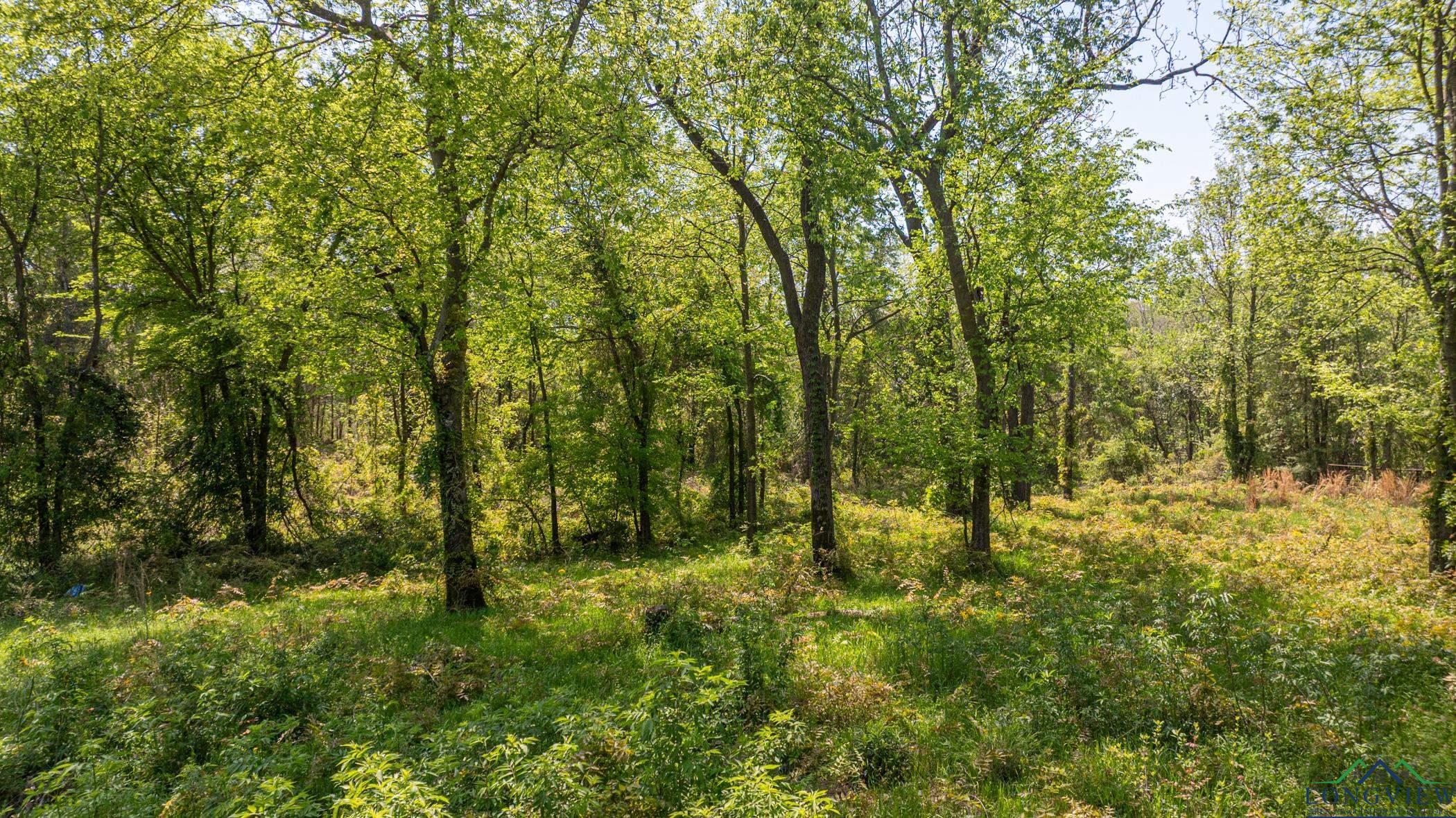 7200 S Fm 144, Daingerfield, Texas image 31