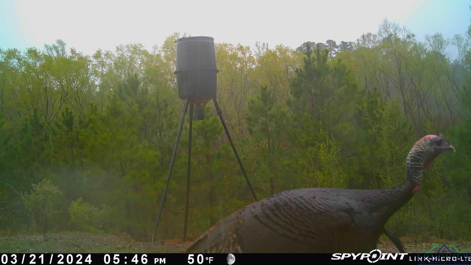 7200 S Fm 144, Daingerfield, Texas image 37