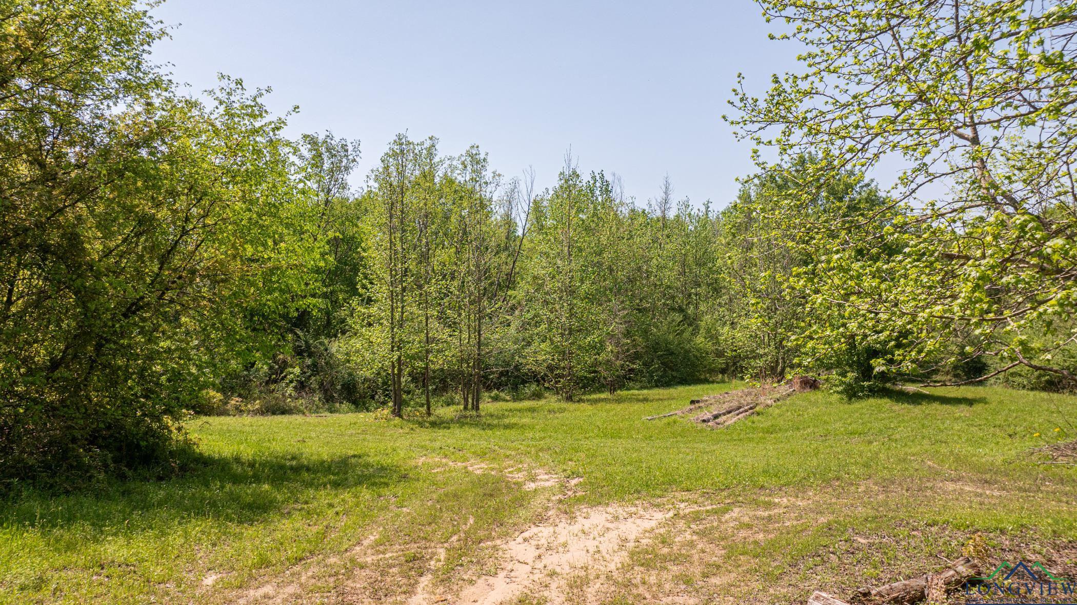 7200 S Fm 144, Daingerfield, Texas image 24