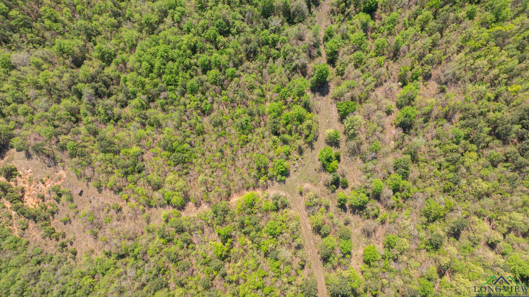 7200 S Fm 144, Daingerfield, Texas image 22