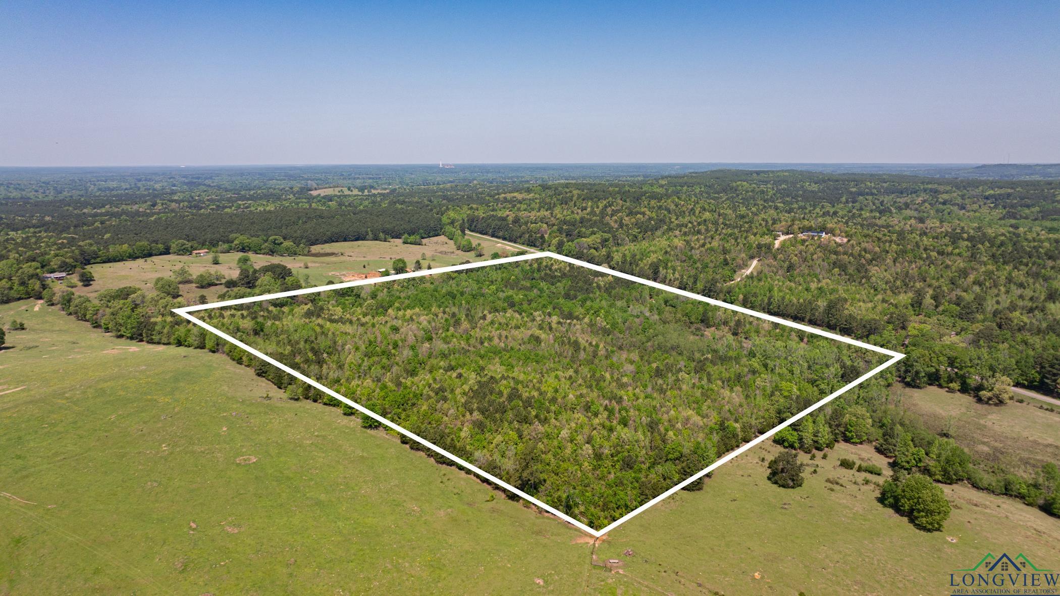 7200 S Fm 144, Daingerfield, Texas image 10