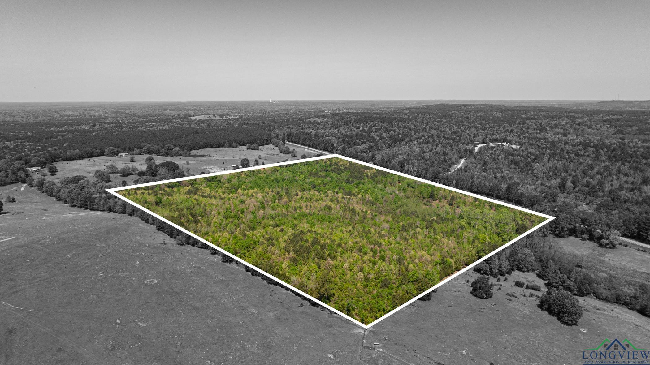 7200 S Fm 144, Daingerfield, Texas image 15
