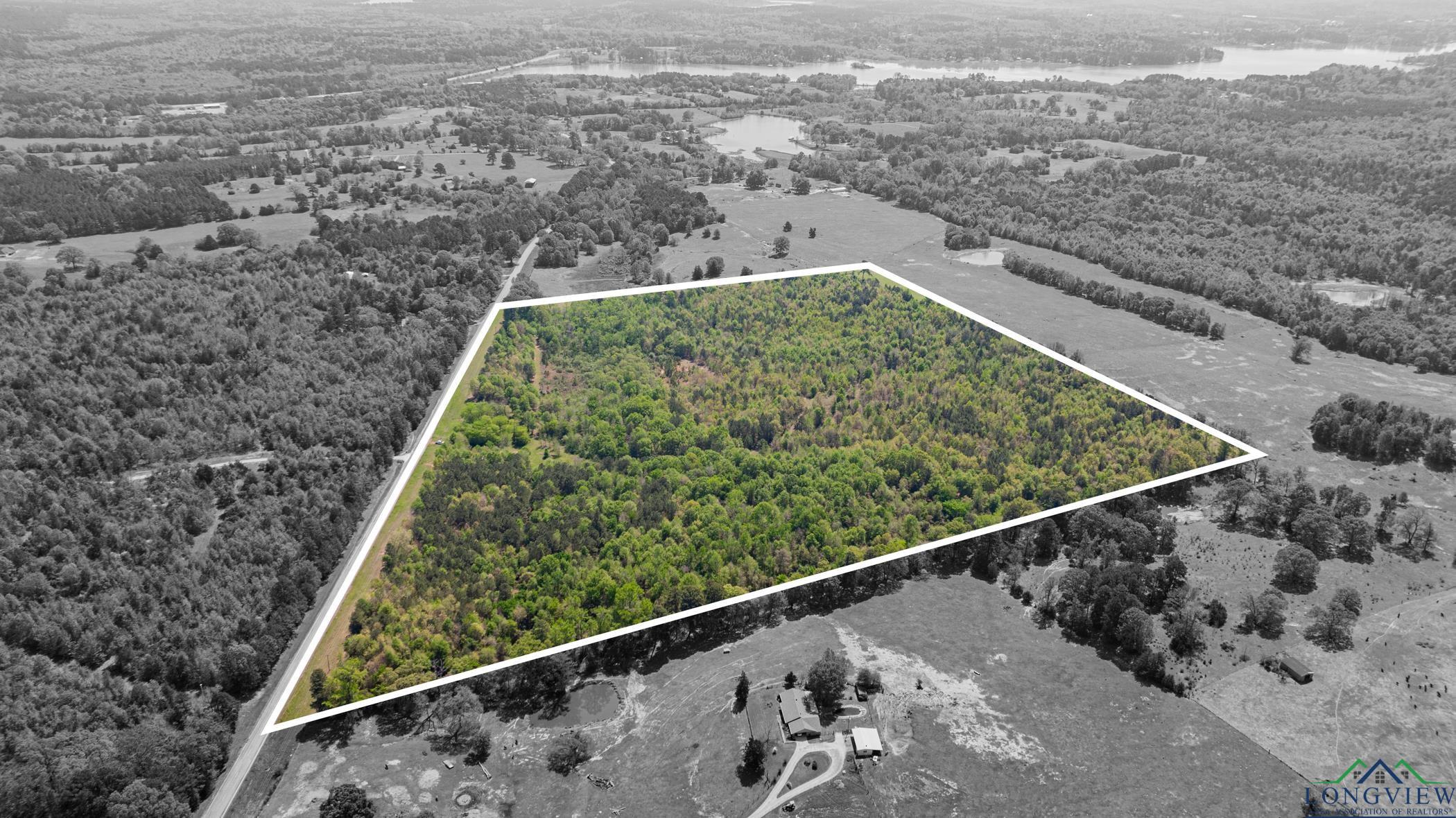 7200 S Fm 144, Daingerfield, Texas image 5