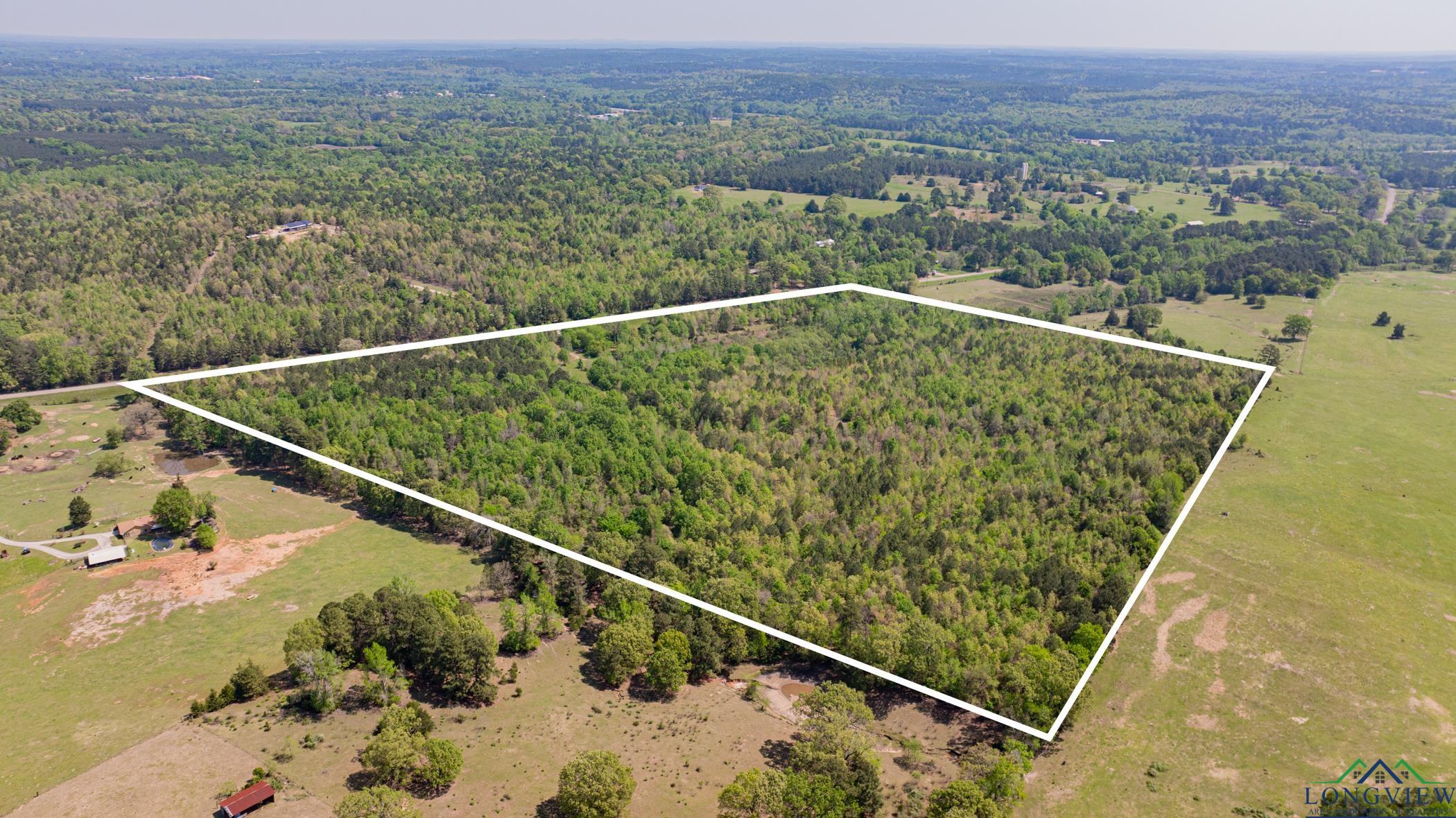 7200 S Fm 144, Daingerfield, Texas image 7