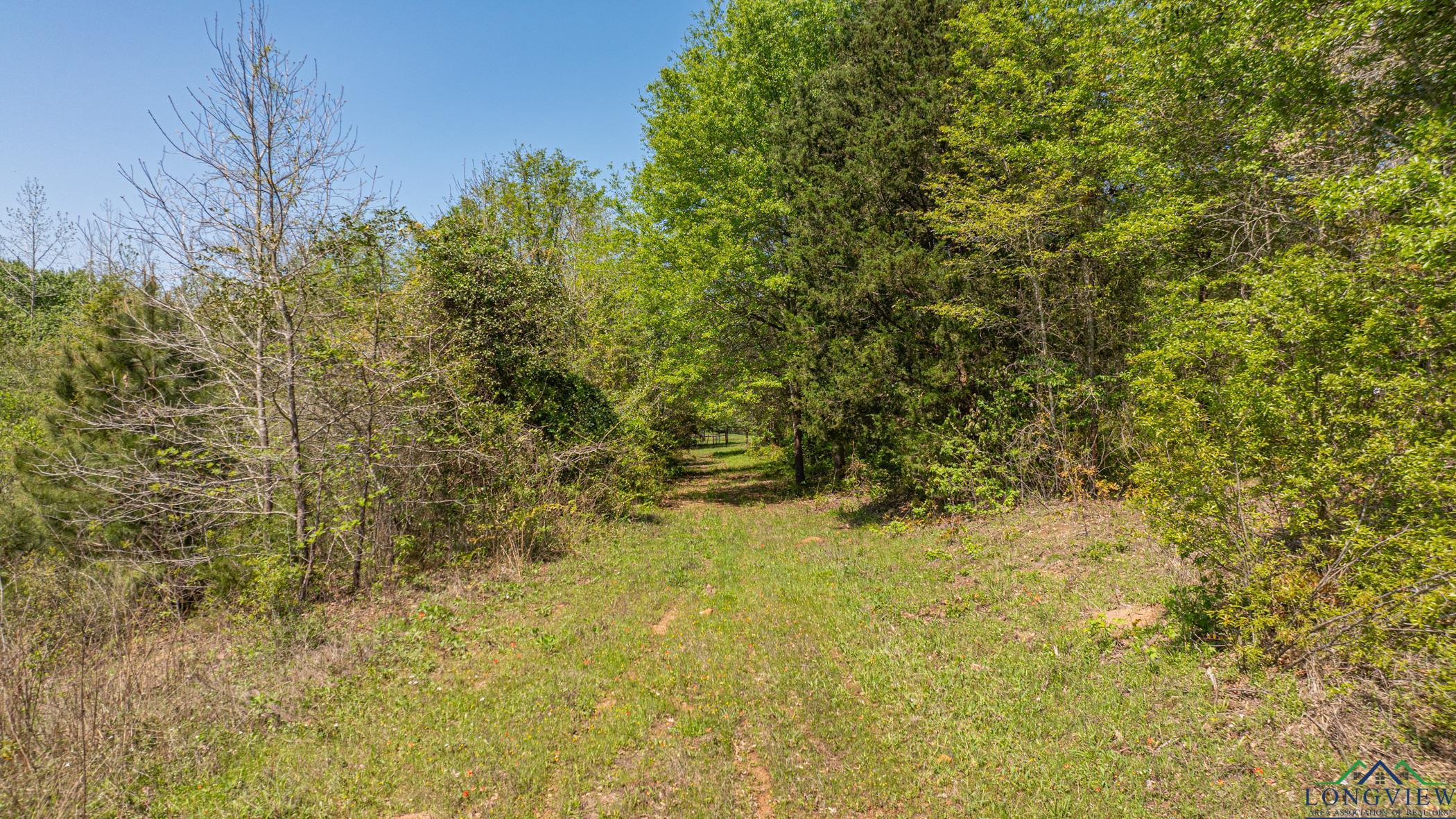 7200 S Fm 144, Daingerfield, Texas image 36