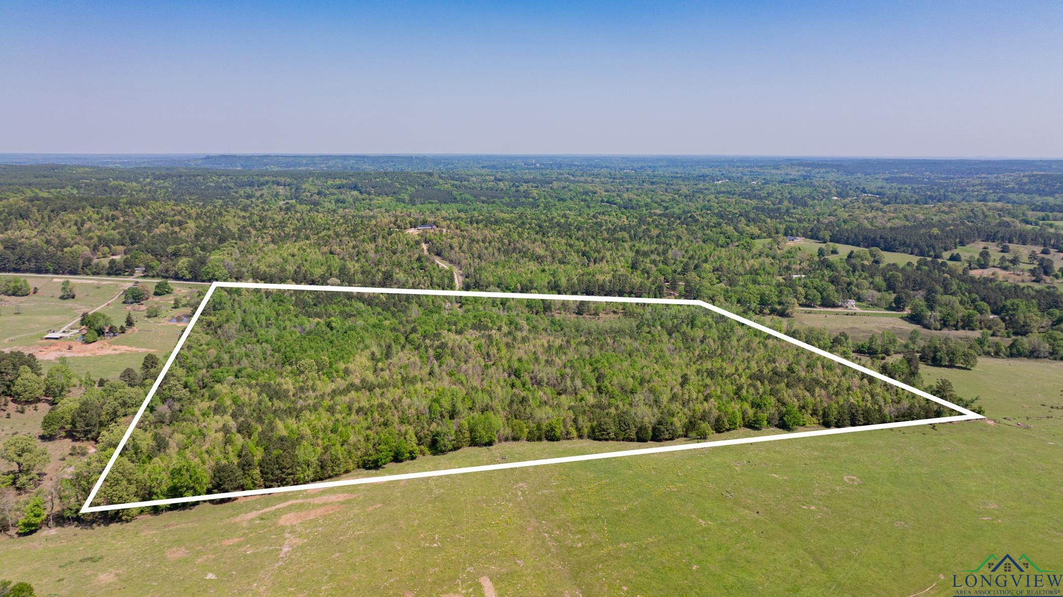 7200 S Fm 144, Daingerfield, Texas image 8