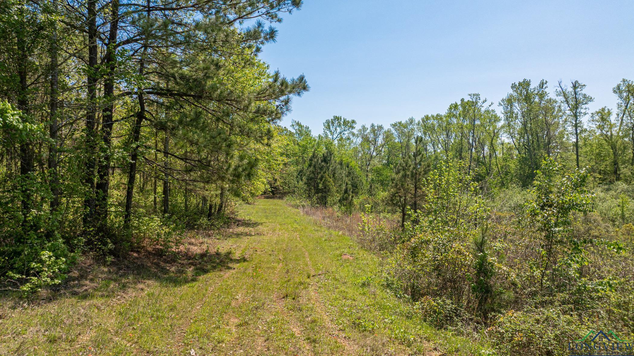 7200 S Fm 144, Daingerfield, Texas image 35