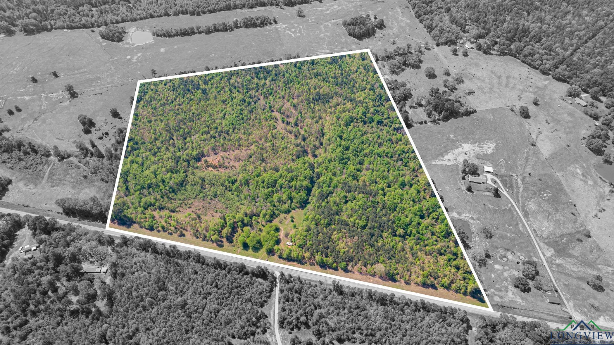 7200 S Fm 144, Daingerfield, Texas image 2