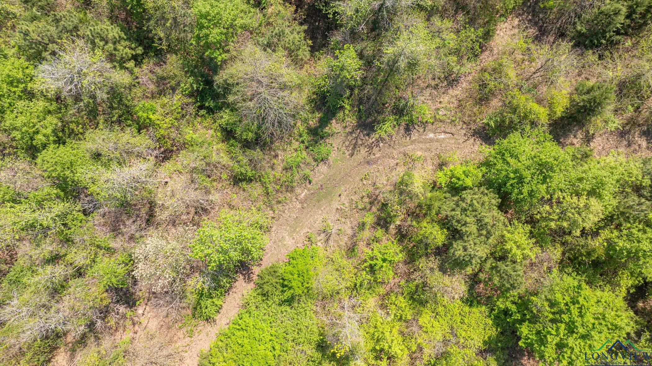 7200 S Fm 144, Daingerfield, Texas image 23