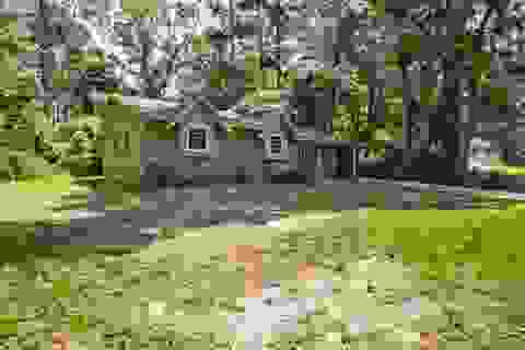 Slider Thumb