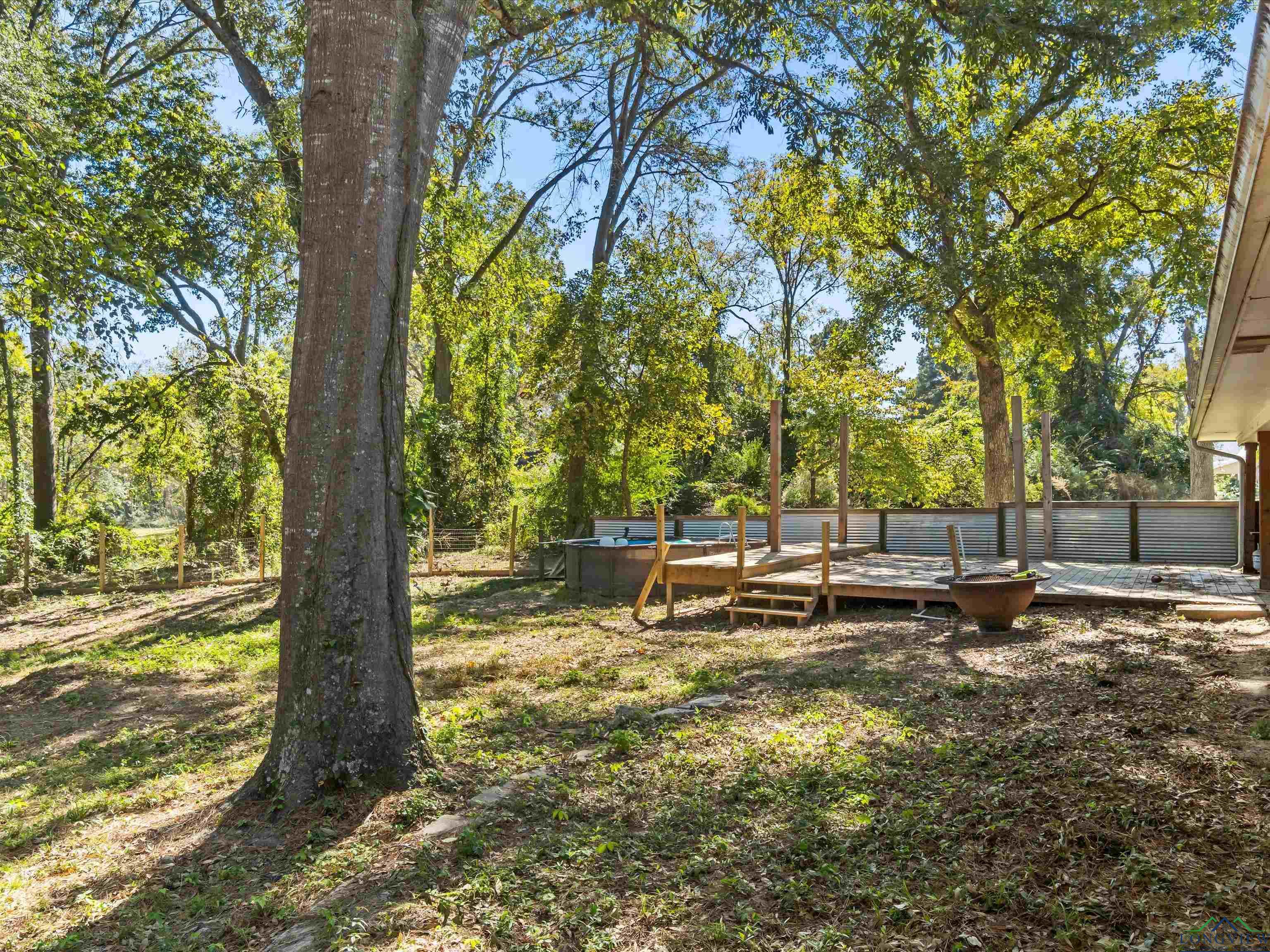 1161 Burro Rd, Gilmer, Texas image 34