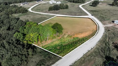 Vacant Land For Sale - 17109 Lux Mundi<br/> Winona, TX 75792