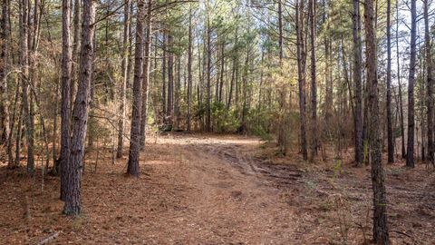 Vacant Land For Sale - 15257 Fm 729<br/> Marion County, Avinger, TX 75630