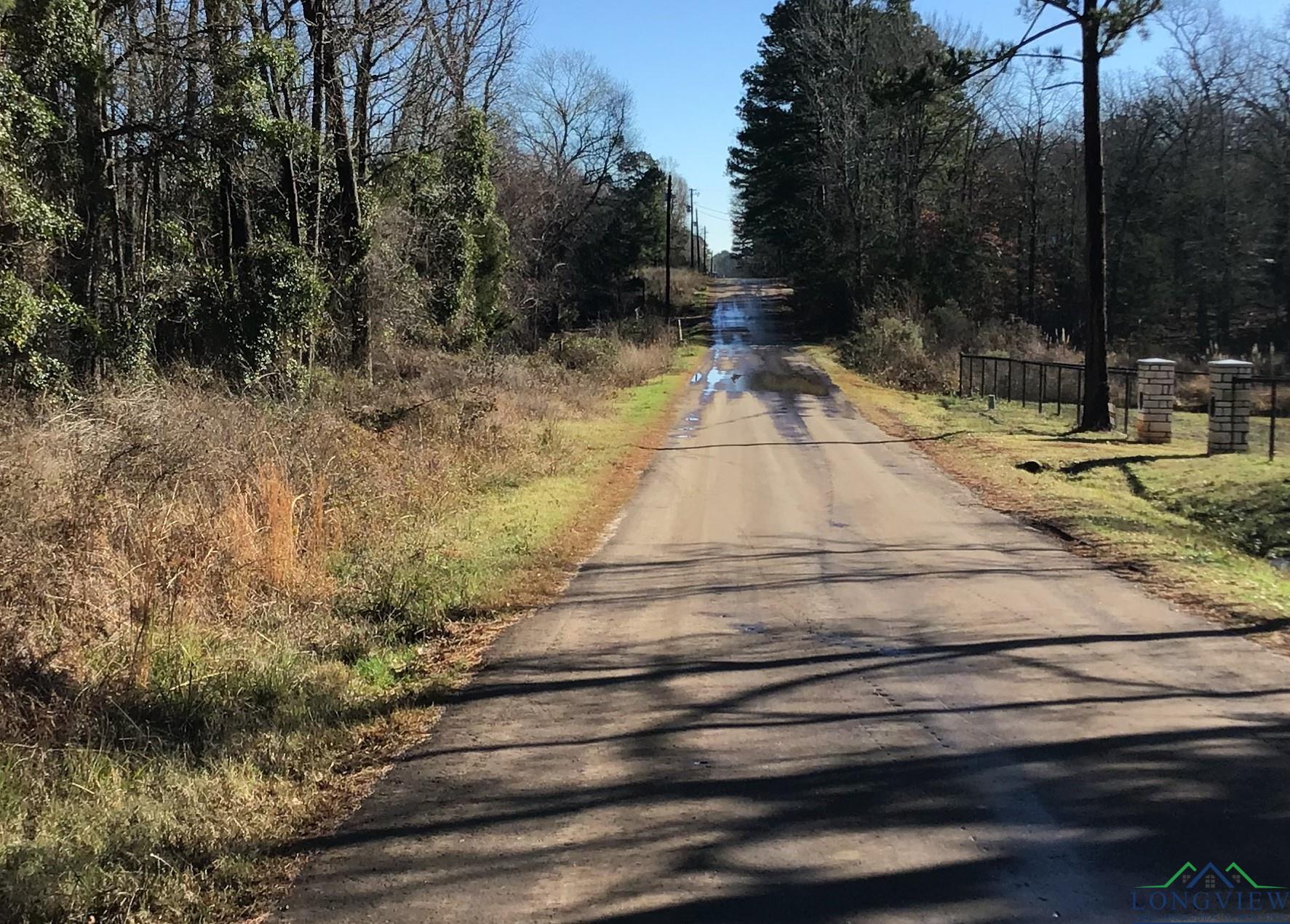 TBD Groundhog Rd, Gilmer, Texas image 2