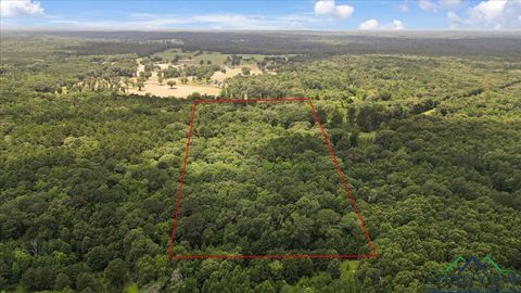 Vacant Land For Sale - TBD Cr 3289<br/> Wood County, Quitman, TX 75783